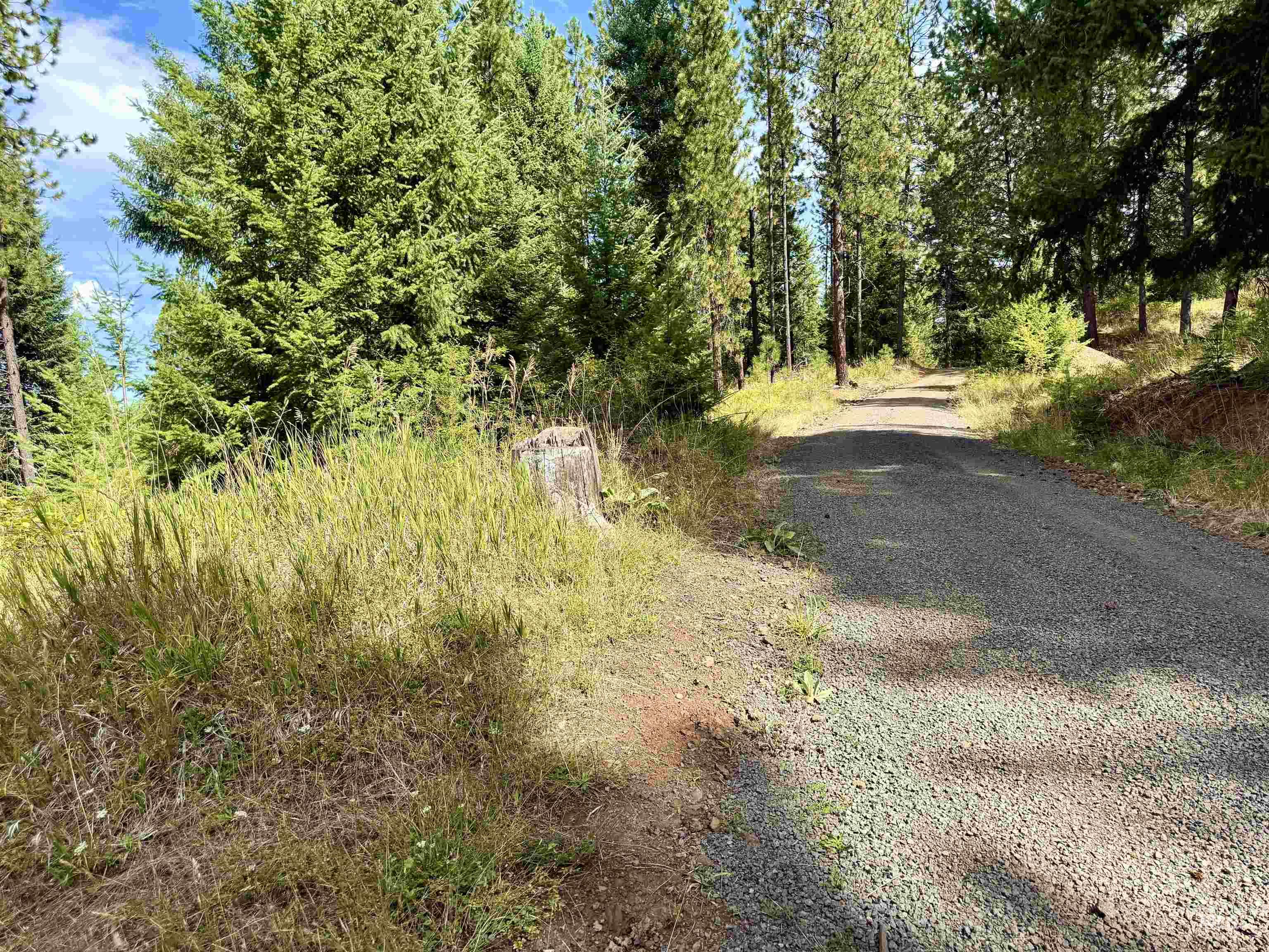 TBD Pine Hollow Lane, Kooskia, Idaho 83539, Land For Sale, Price $128,000,MLS 99001635