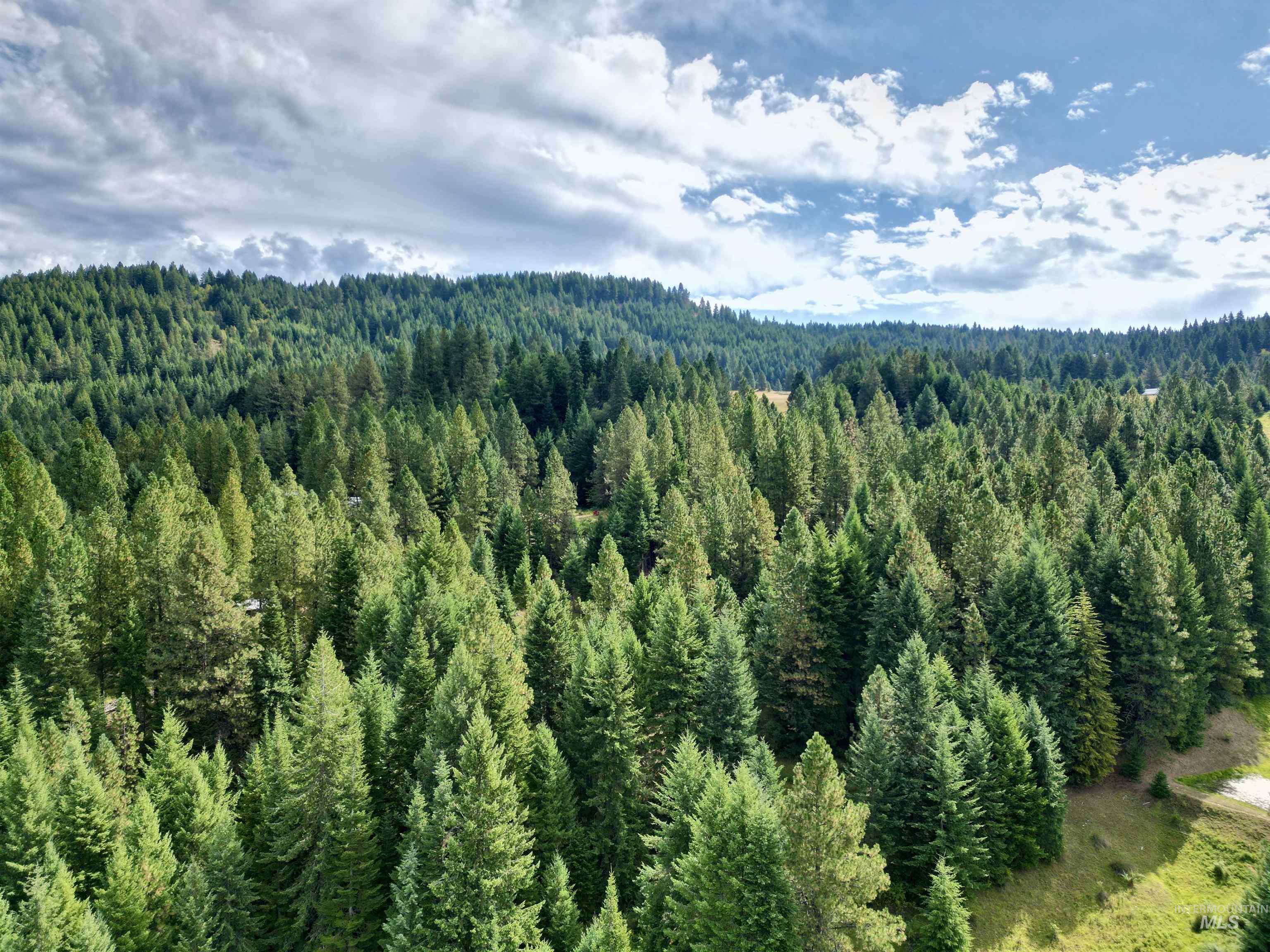 TBD Pine Hollow Lane, Kooskia, Idaho 83539, Land For Sale, Price $128,000,MLS 99001635