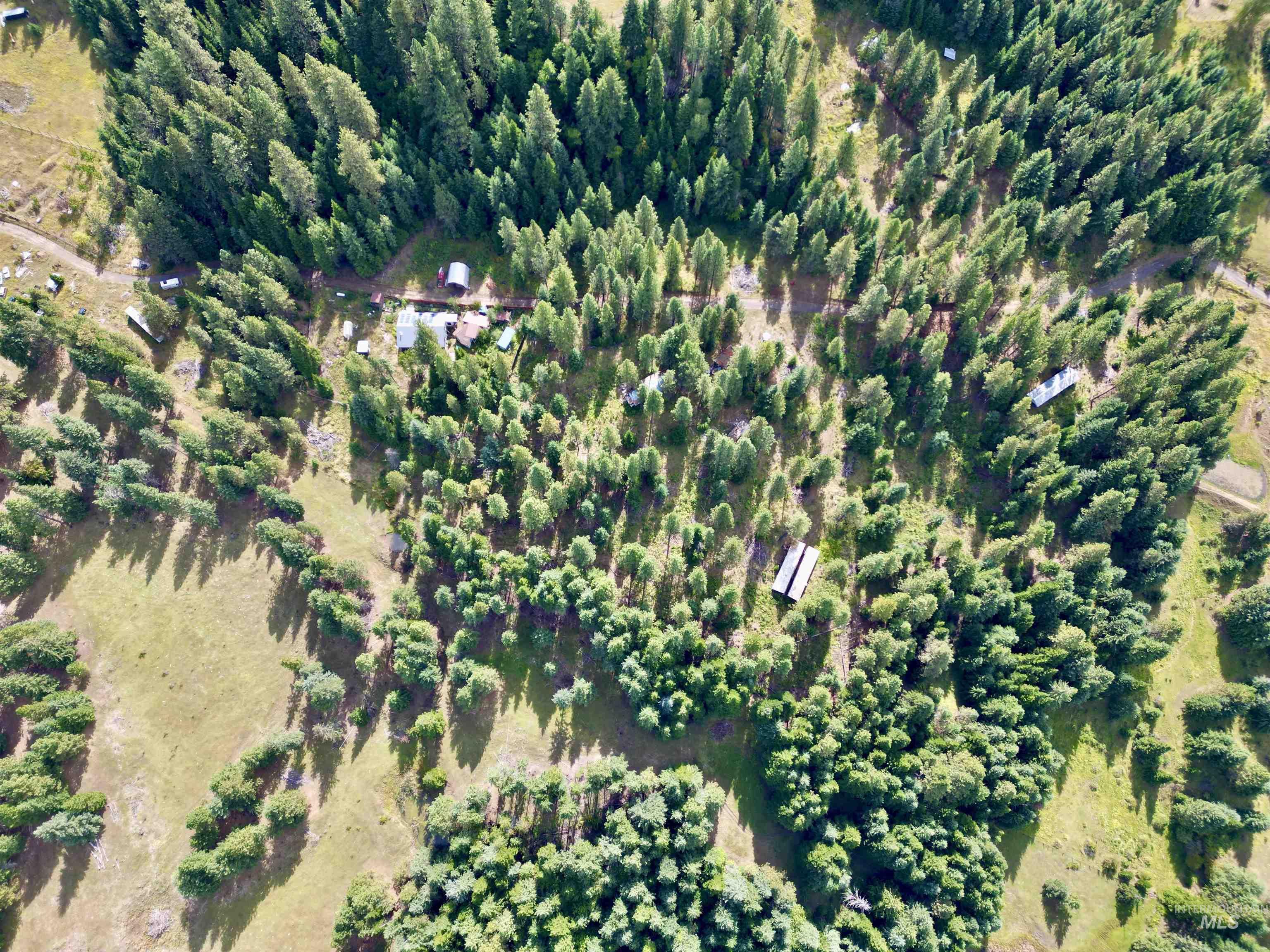TBD Pine Hollow Lane, Kooskia, Idaho 83539, Land For Sale, Price $128,000,MLS 99001635
