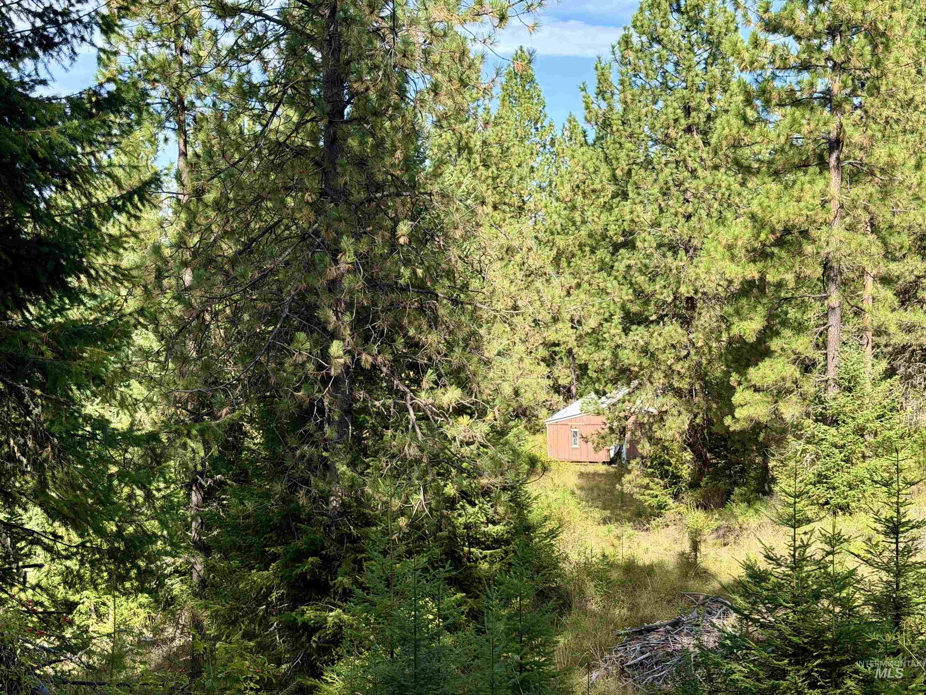 TBD Pine Hollow Lane, Kooskia, Idaho 83539, Land For Sale, Price $128,000,MLS 99001635