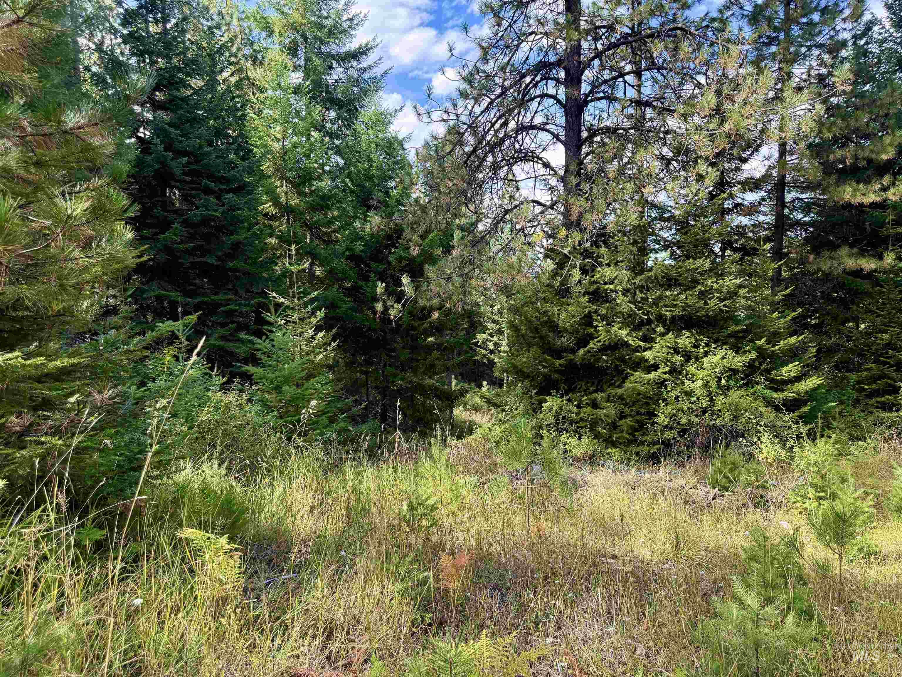 TBD Pine Hollow Lane, Kooskia, Idaho 83539, Land For Sale, Price $128,000,MLS 99001635