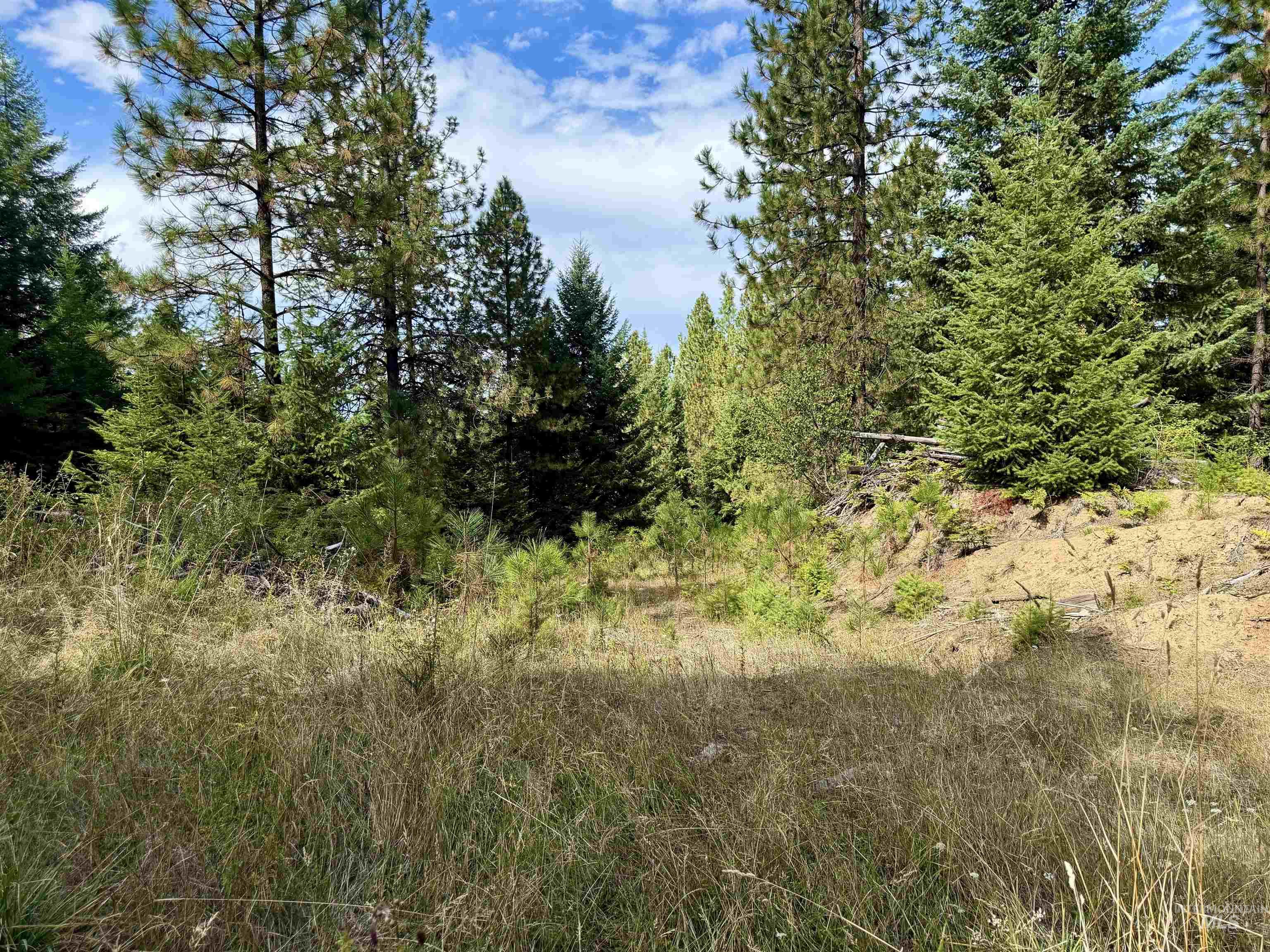 TBD Pine Hollow Lane, Kooskia, Idaho 83539, Land For Sale, Price $128,000,MLS 99001635