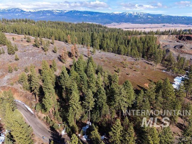 Lot 6 Blk 1 Van Dorn Dr, New Meadows, Idaho 83654, Land For Sale, Price $165,000,MLS 99001642