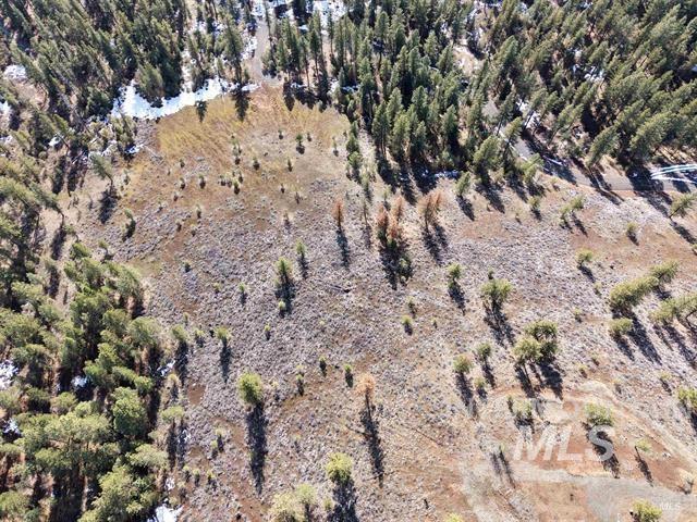 Lot 6 Blk 1 Van Dorn Dr, New Meadows, Idaho 83654, Land For Sale, Price $165,000,MLS 99001642