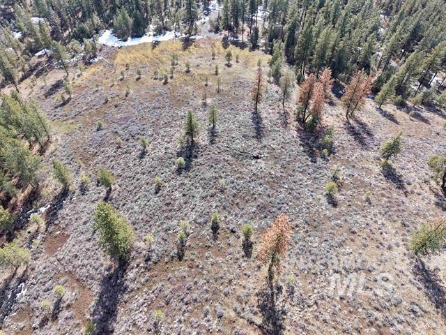 Lot 6 Blk 1 Van Dorn Dr, New Meadows, Idaho 83654, Land For Sale, Price $165,000,MLS 99001642