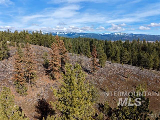 Lot 6 Blk 1 Van Dorn Dr, New Meadows, Idaho 83654, Land For Sale, Price $165,000,MLS 99001642