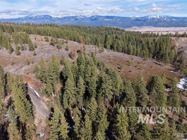 Lot 6 Blk 1 Van Dorn Dr, New Meadows, Idaho 83654, Land For Sale, Price $165,000,MLS 99001642