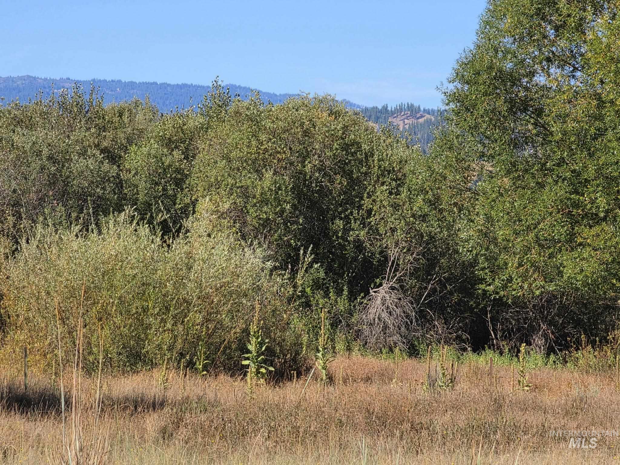 62 Wapiti Ct, Garden Valley, Idaho 83622, Land For Sale, Price $71,000,MLS 99001645