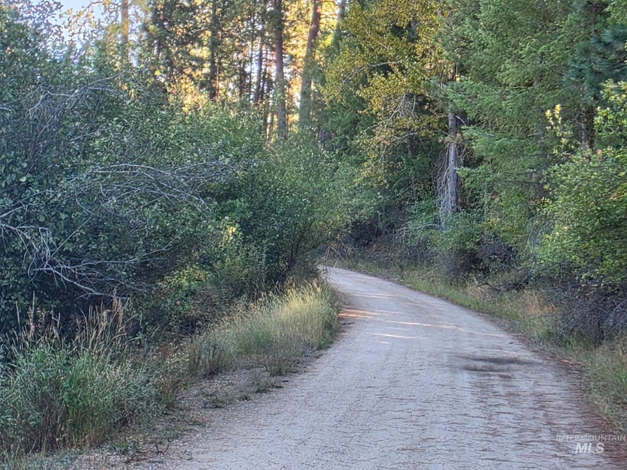 62 Wapiti Ct, Garden Valley, Idaho 83622, Land For Sale, Price $71,000,MLS 99001645