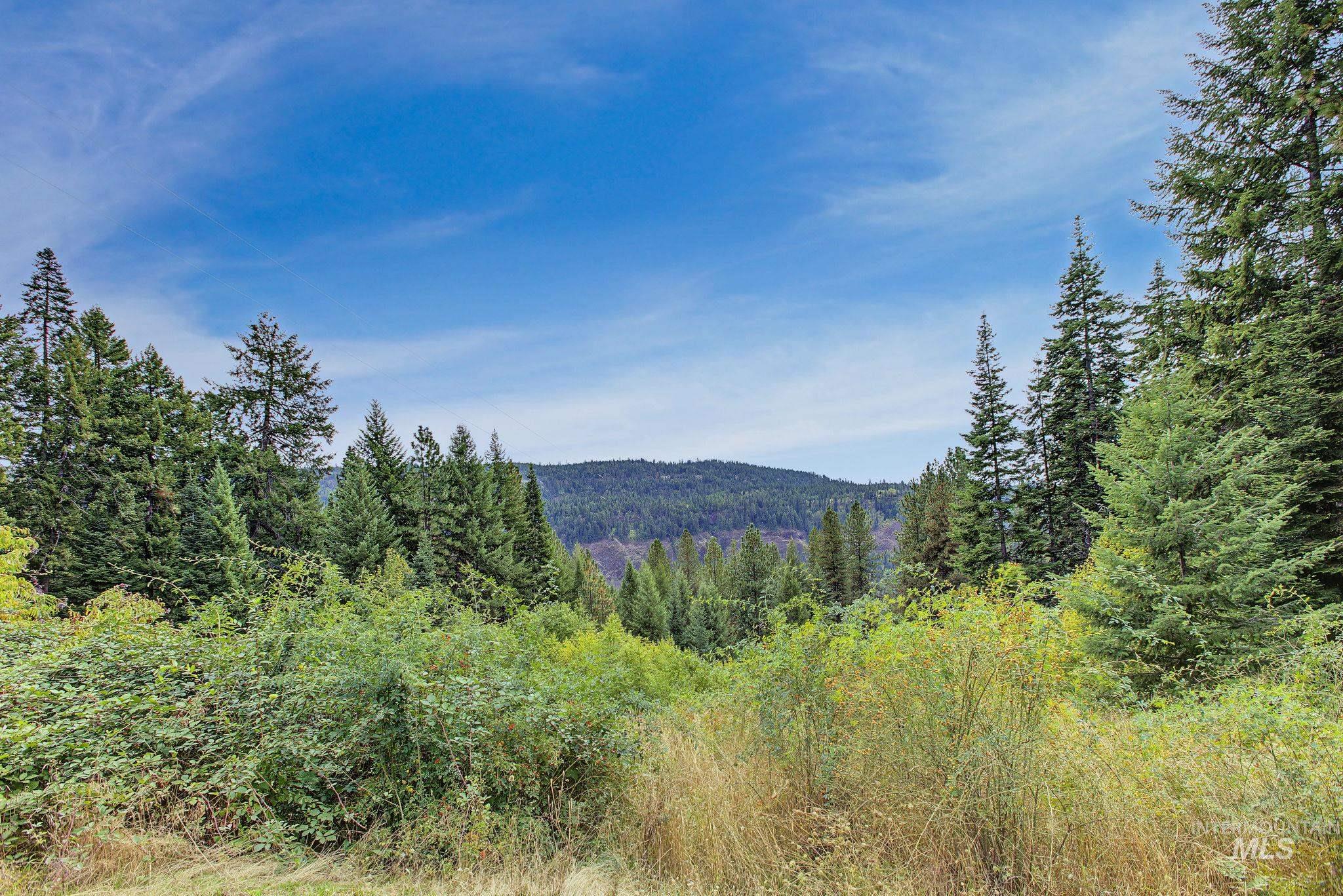 2926 Wells Bench Road, Orofino, Idaho 83544, 3 Bedrooms, 2 Bathrooms, Residential For Sale, Price $406,450, 99001653