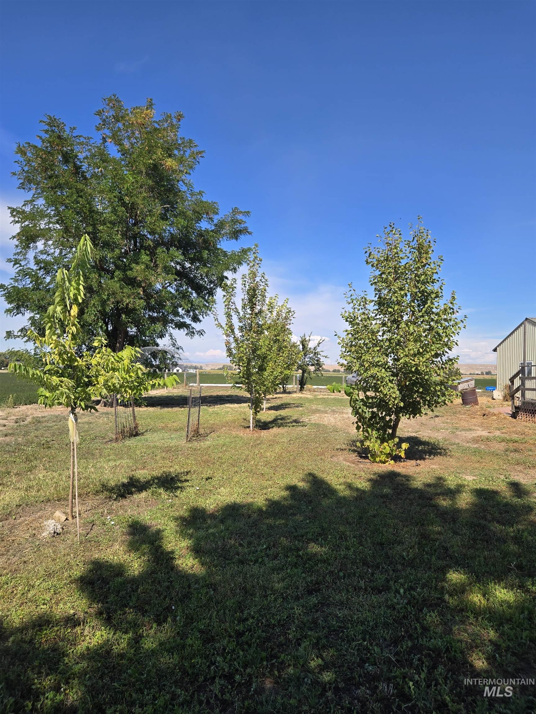 2600 NW 2nd Ave, Fruitland, Idaho 83619, 3 Bedrooms, 2.5 Bathrooms, Residential For Sale, Price $425,000, 99001665
