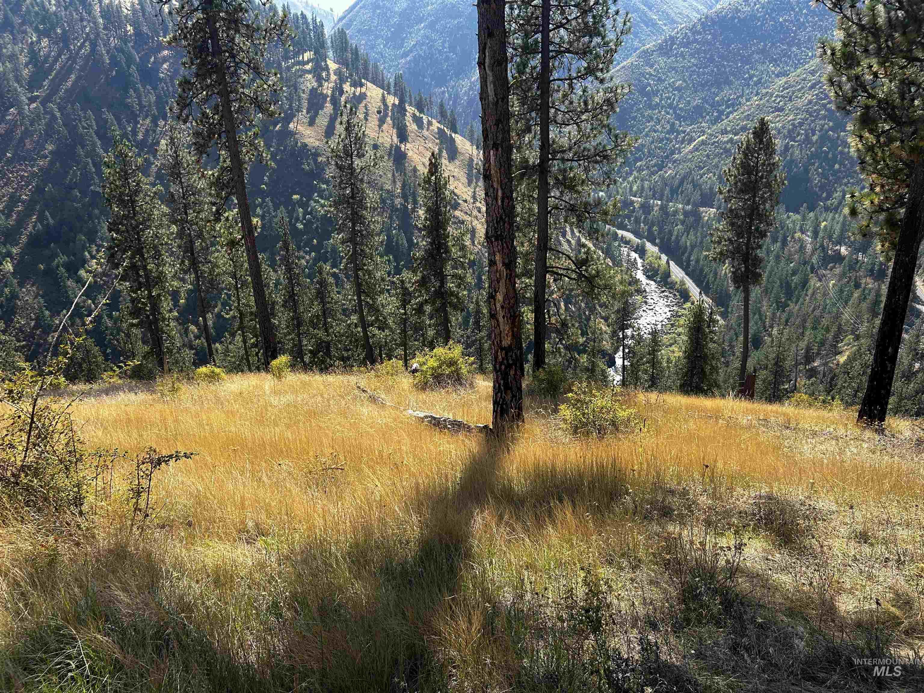 1303 Highway 14, Grangeville, Idaho 83530, Land For Sale, Price $50,000,MLS 99001758