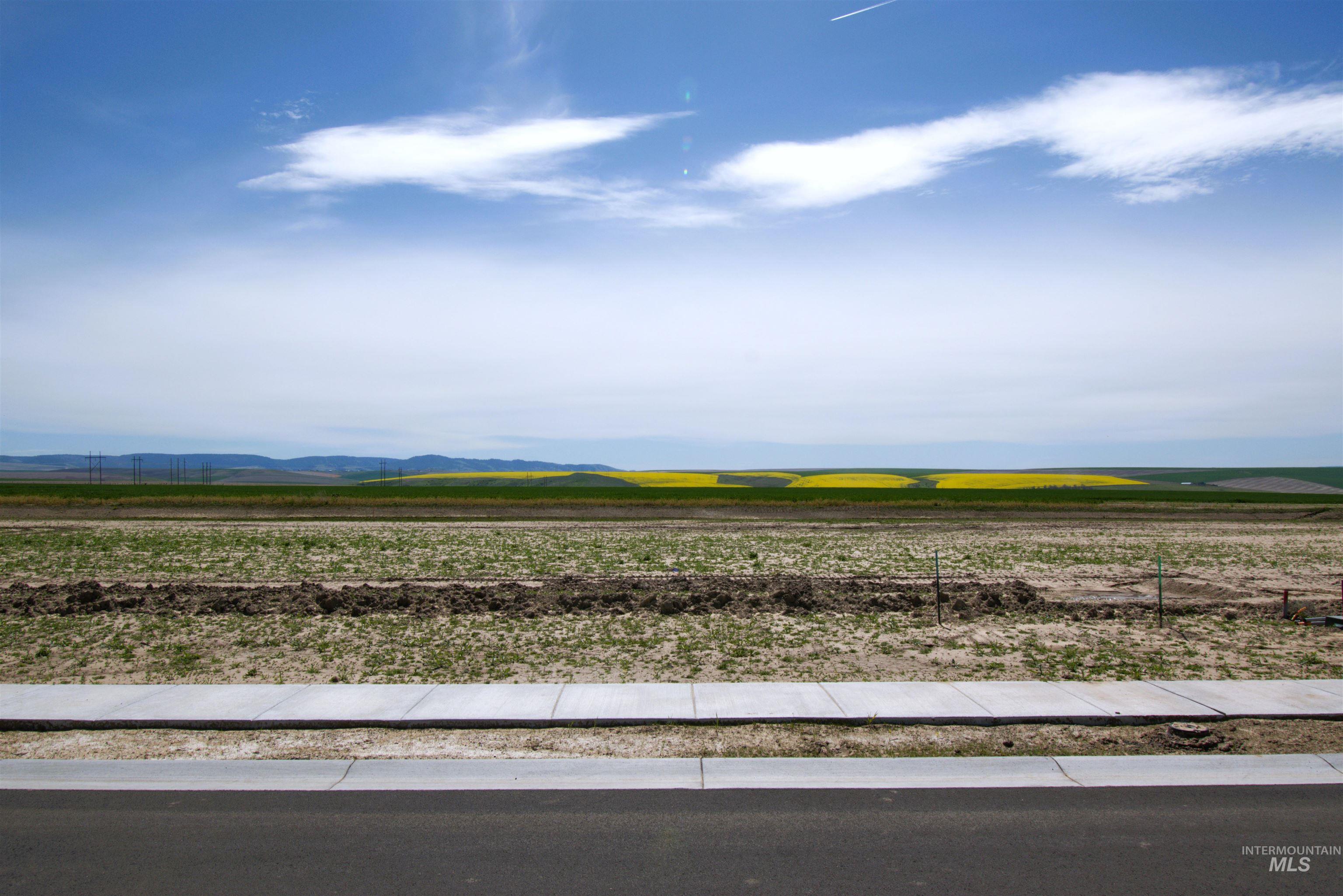 Lot 4 Block 8 Skyview Estates Phase IV, Lewiston, Idaho 83501, 3 Bedrooms, 2 Bathrooms, Residential For Sale, Price $739,000,MLS 99001803