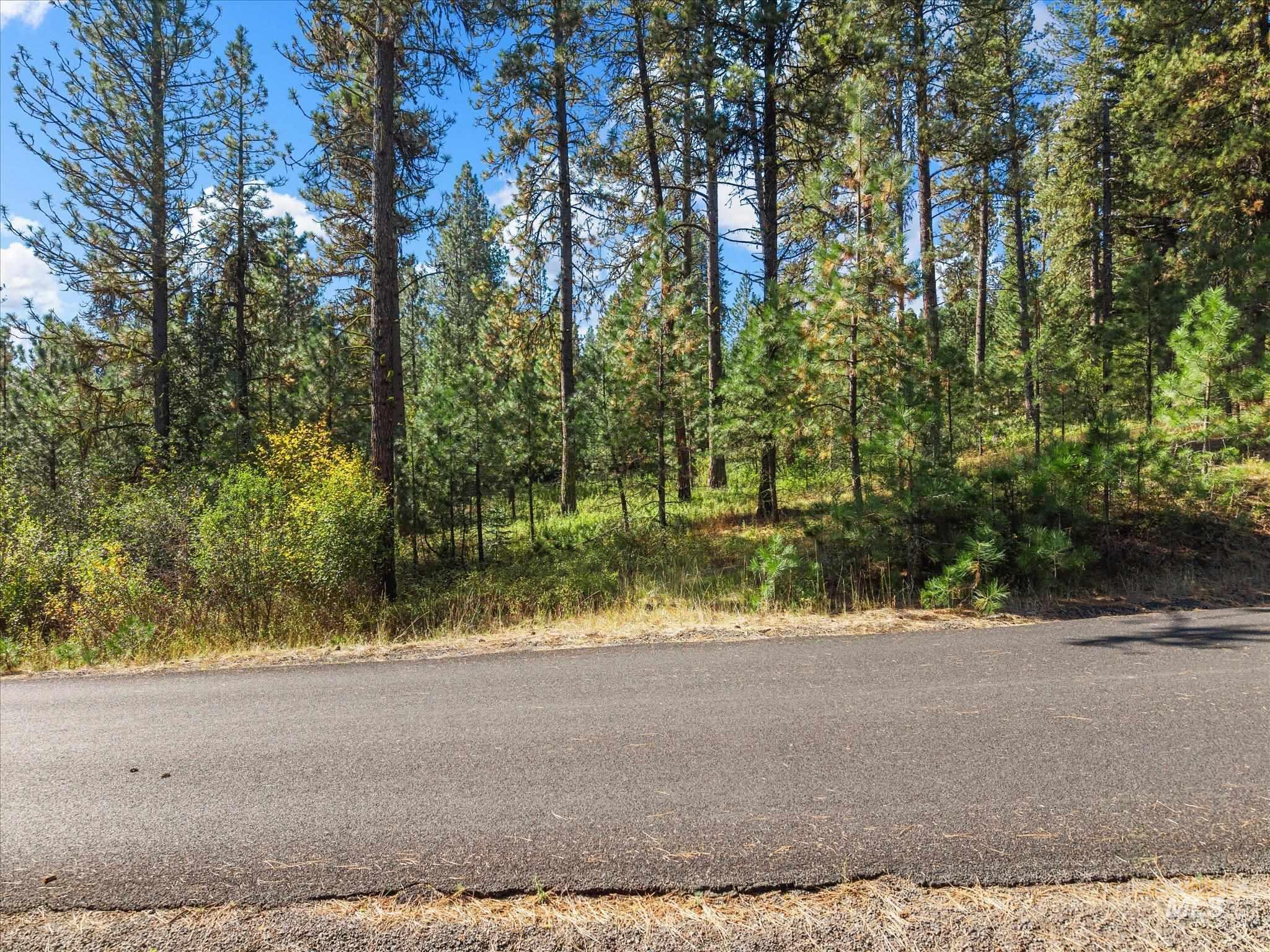 Lot 4 Brookside Dr., New Meadows, Idaho 83654, Land For Sale, Price $125,000, 99001809