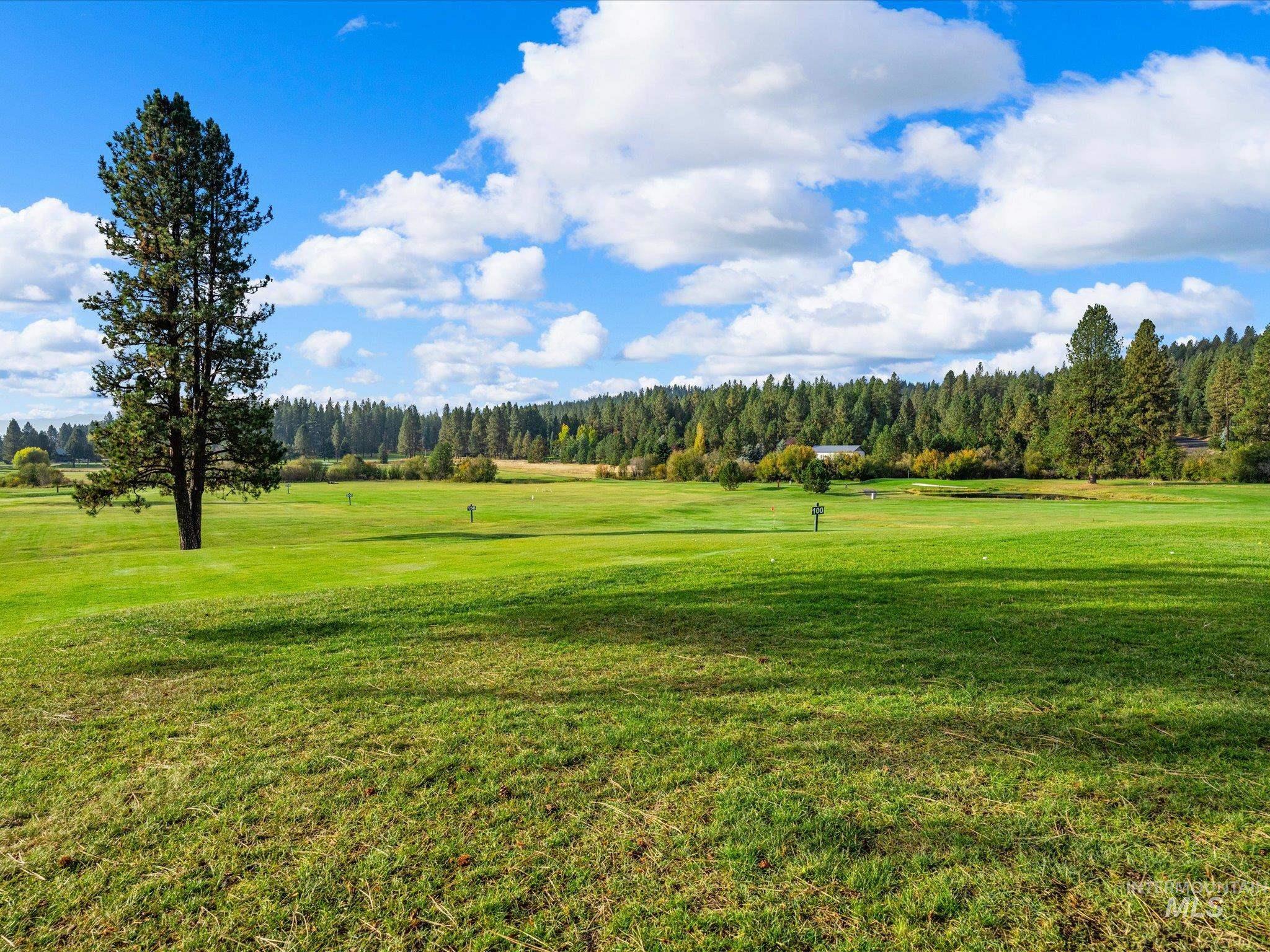 Lot 4 Brookside Dr., New Meadows, Idaho 83654, Land For Sale, Price $125,000,MLS 99001809