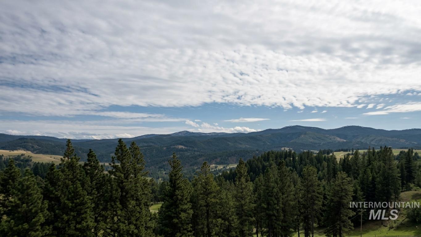 1249 Battle Ridge Road, Kooskia, Idaho 83539, 4 Bedrooms, 3 Bathrooms, Farm & Ranch For Sale, Price $1,595,000,MLS 99001866