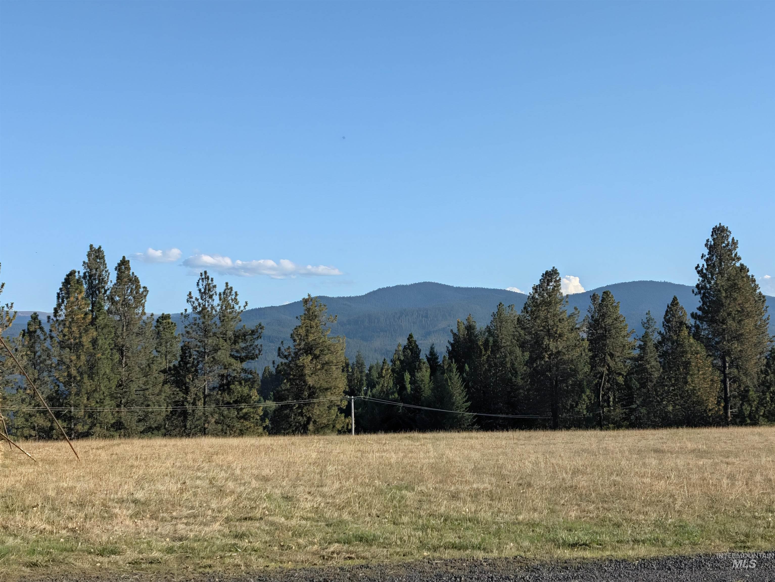 1249 Battle Ridge Road, Kooskia, Idaho 83539, 4 Bedrooms, 3 Bathrooms, Farm & Ranch For Sale, Price $1,595,000,MLS 99001866
