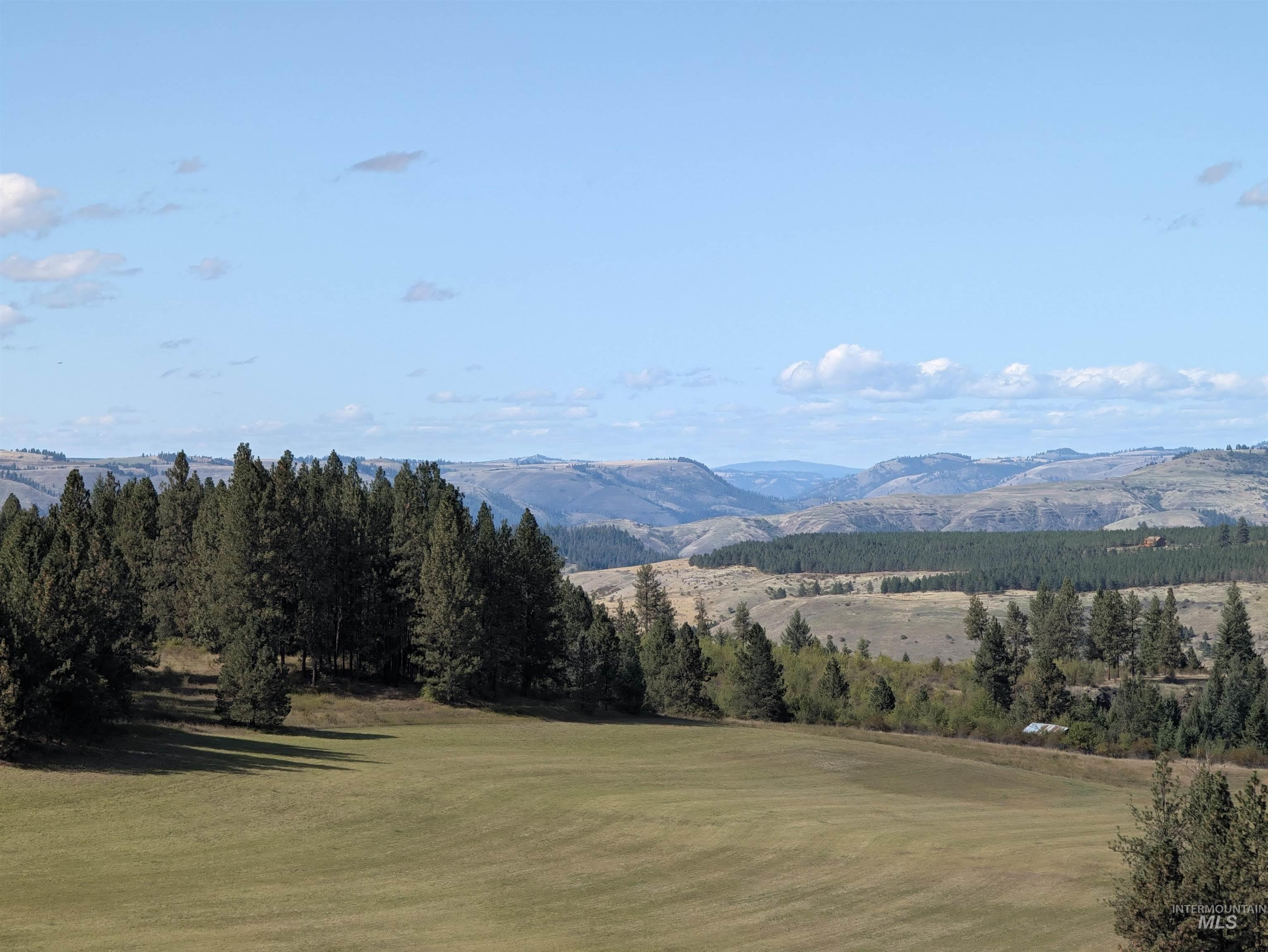1249 Battle Ridge Road, Kooskia, Idaho 83539, 4 Bedrooms, 3 Bathrooms, Farm & Ranch For Sale, Price $1,595,000,MLS 99001866
