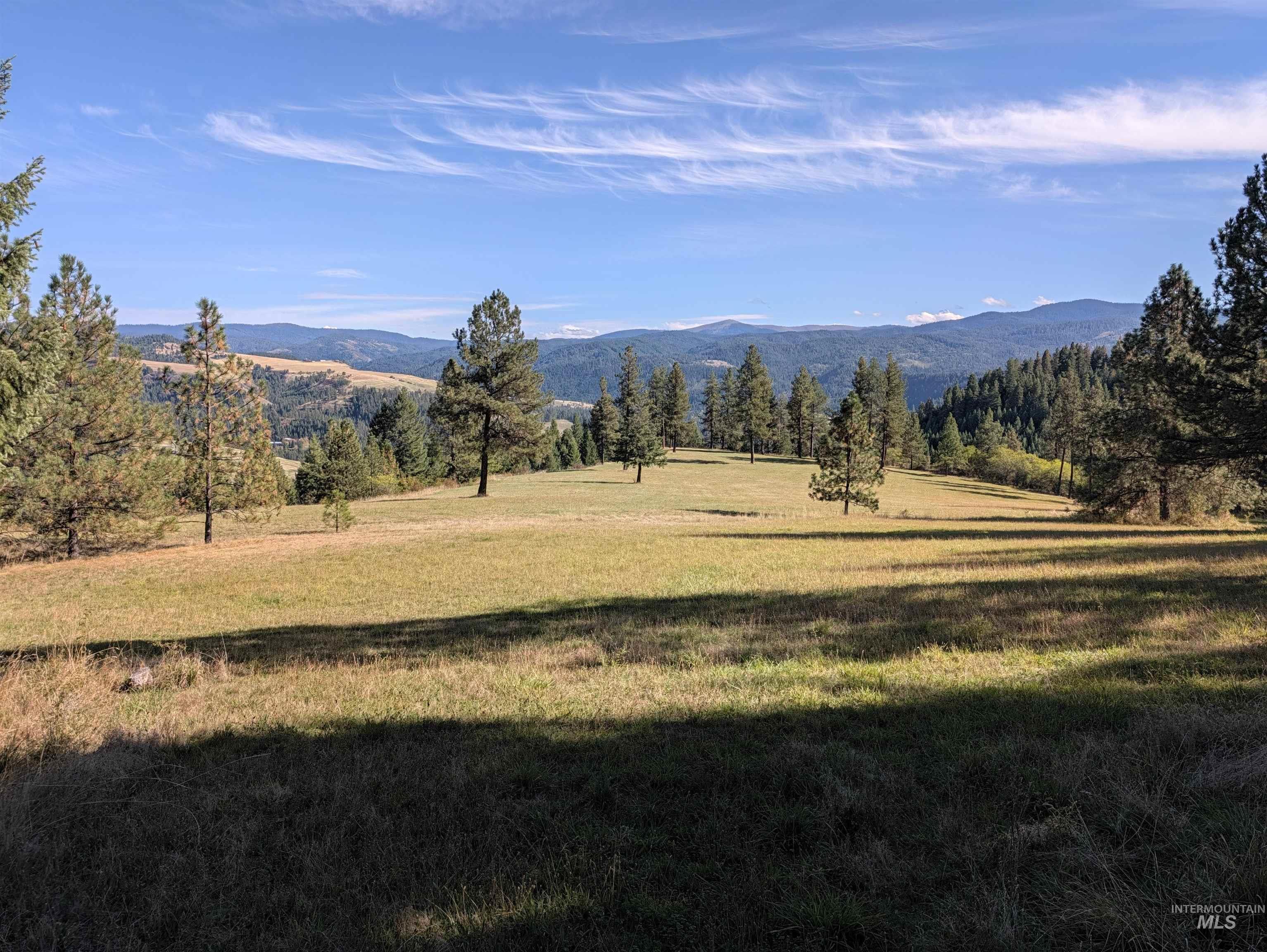 1249 Battle Ridge Road, Kooskia, Idaho 83539, 4 Bedrooms, 3 Bathrooms, Farm & Ranch For Sale, Price $1,595,000,MLS 99001866