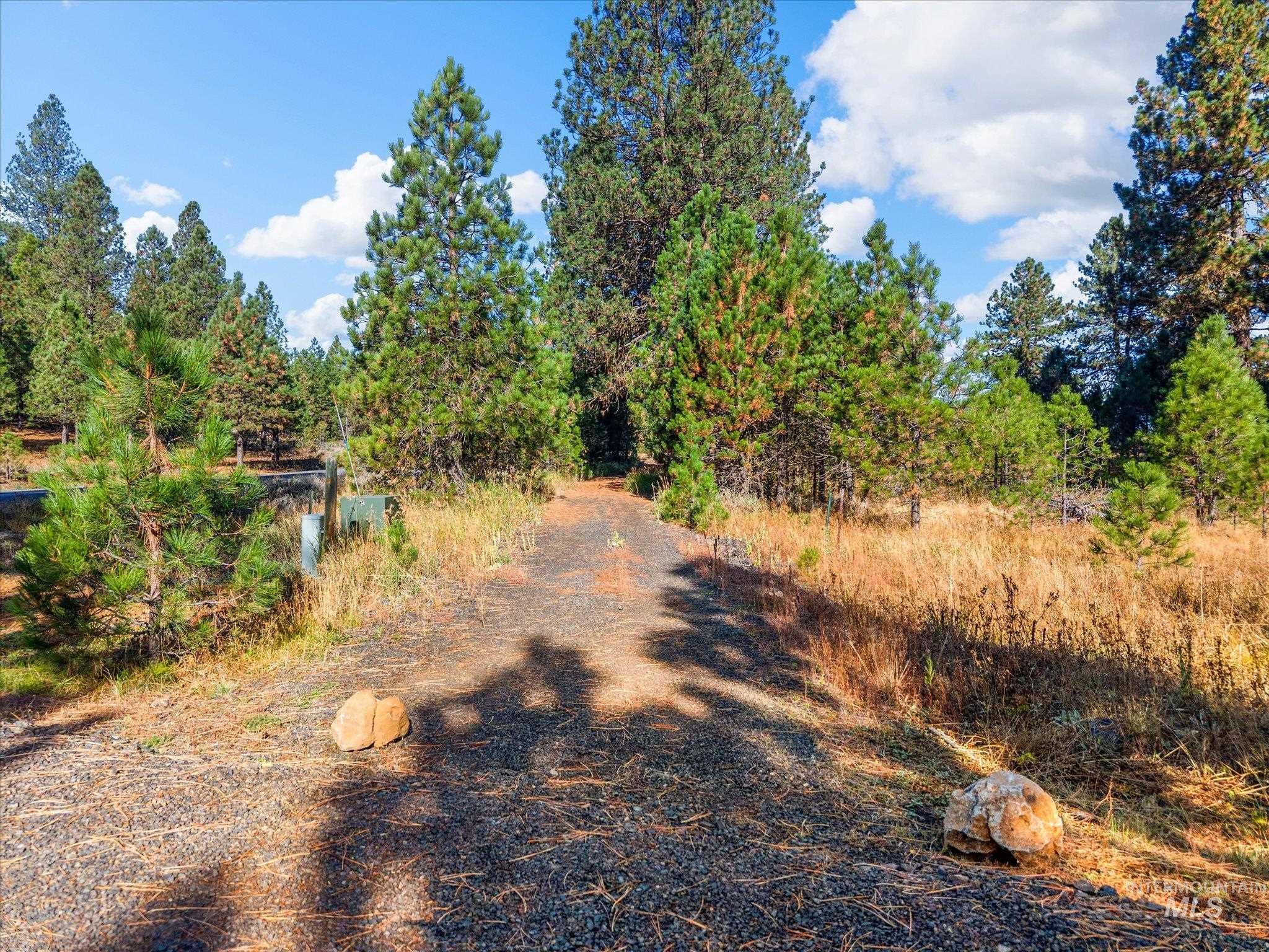 Lot 44 Old HWY 95, New Meadows, Idaho 83654, Land For Sale, Price $250,000,MLS 99001879
