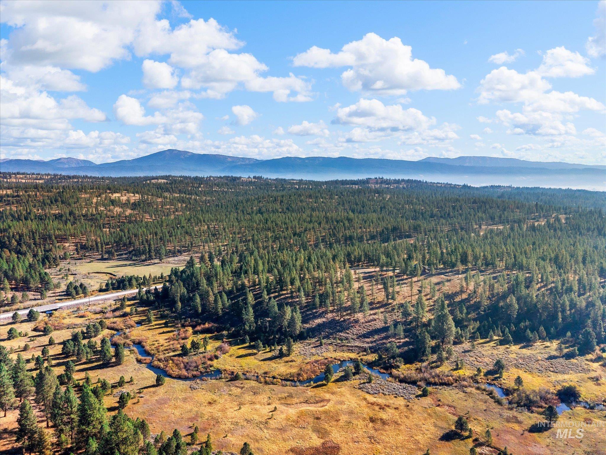 Lot 44 Old HWY 95, New Meadows, Idaho 83654, Land For Sale, Price $250,000,MLS 99001879