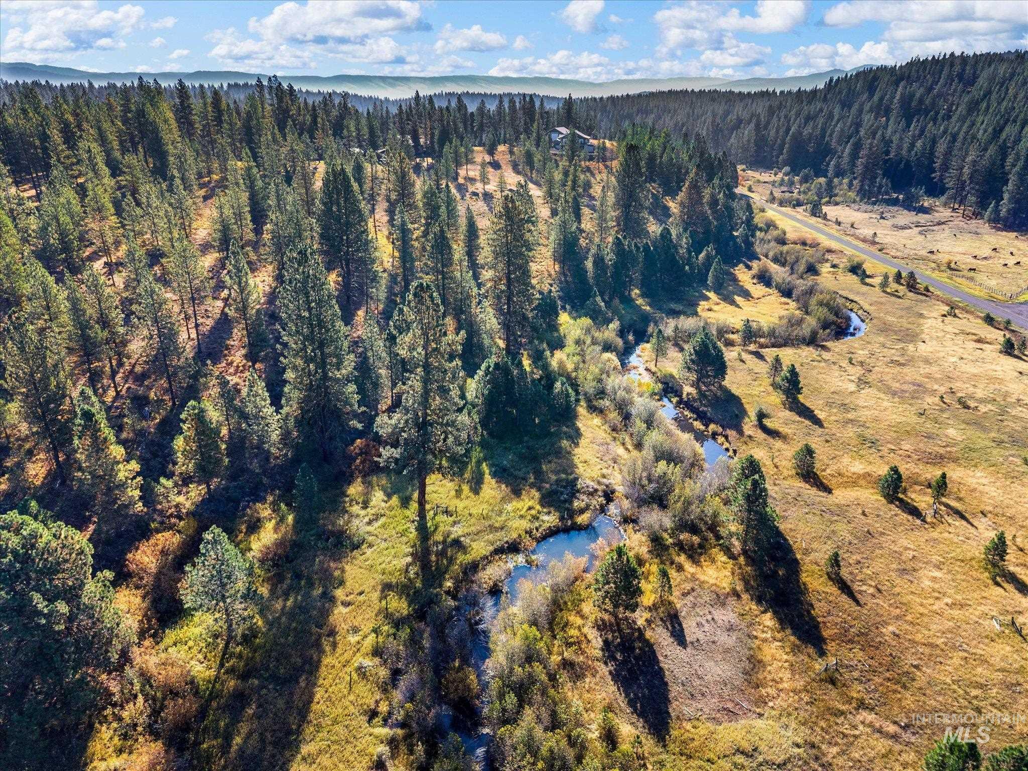 Lot 44 Old HWY 95, New Meadows, Idaho 83654, Land For Sale, Price $250,000,MLS 99001879