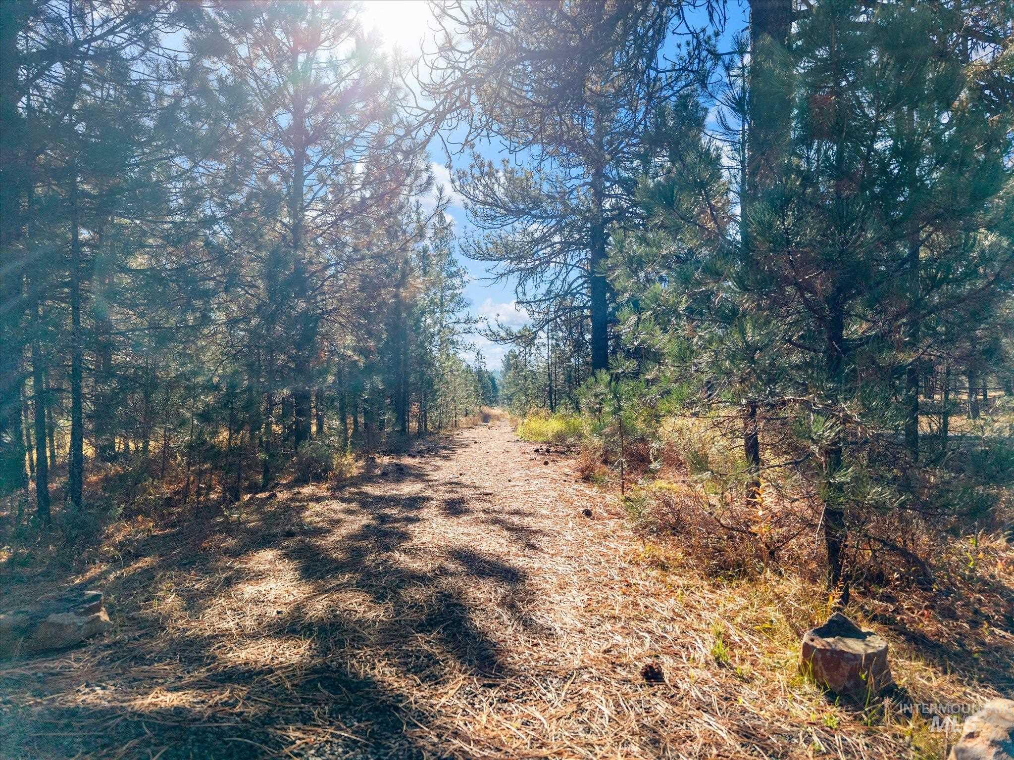 Lot 44 Old HWY 95, New Meadows, Idaho 83654, Land For Sale, Price $250,000,MLS 99001879