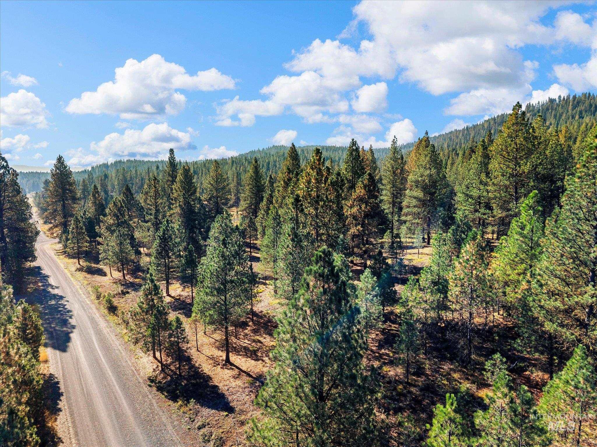 Lot 44 Old HWY 95, New Meadows, Idaho 83654, Land For Sale, Price $250,000,MLS 99001879