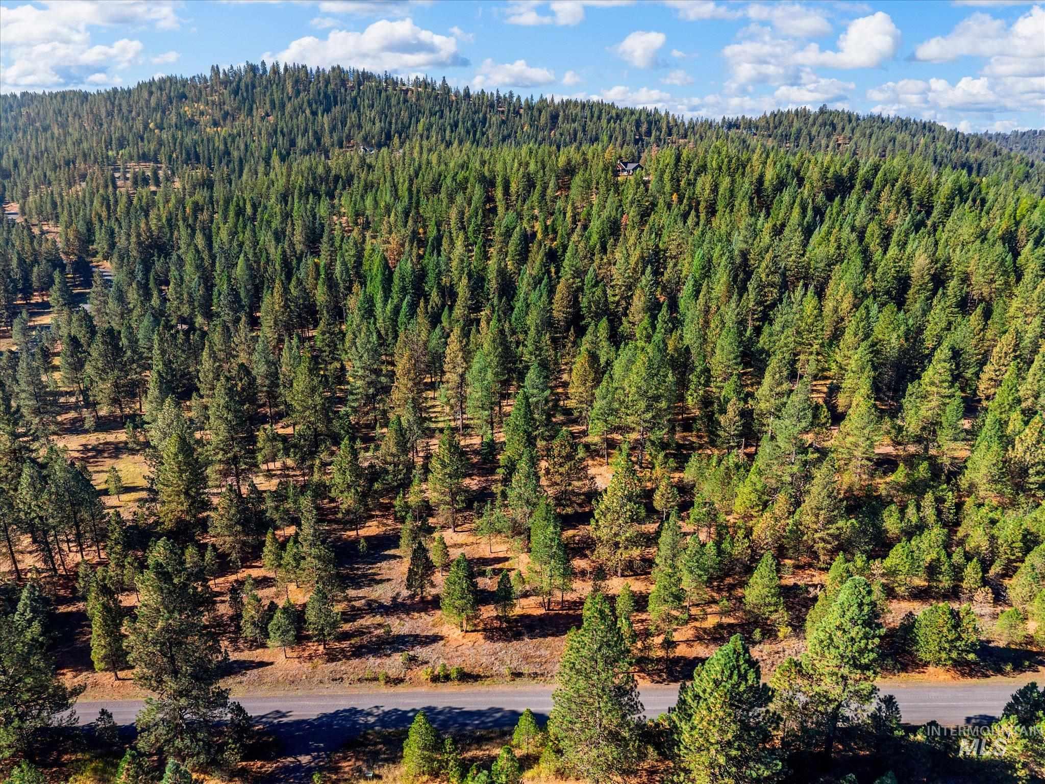 Lot 44 Old HWY 95, New Meadows, Idaho 83654, Land For Sale, Price $250,000,MLS 99001879