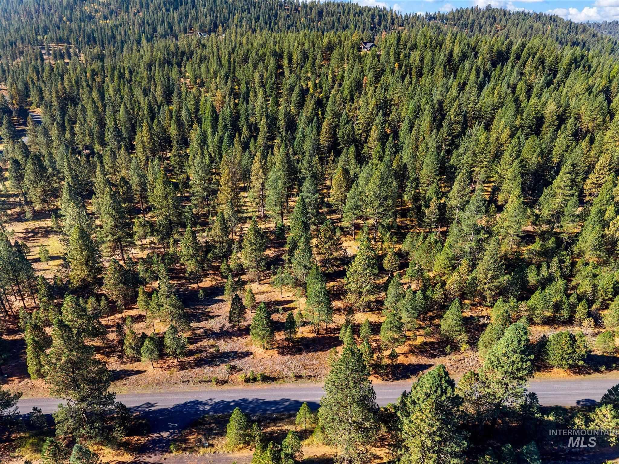 Lot 44 Old HWY 95, New Meadows, Idaho 83654, Land For Sale, Price $250,000,MLS 99001879