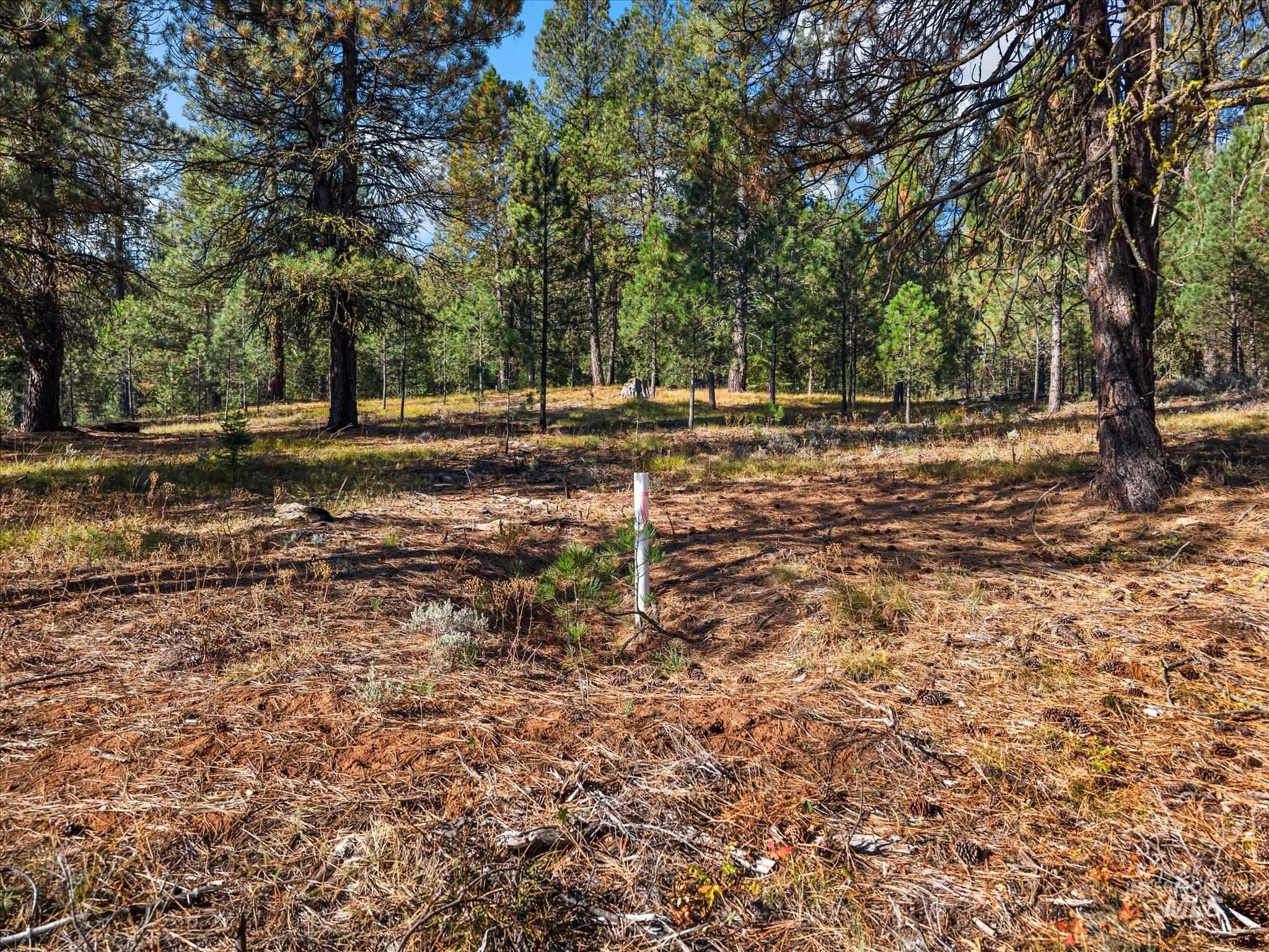 Lot 44 Old HWY 95, New Meadows, Idaho 83654, Land For Sale, Price $250,000,MLS 99001879