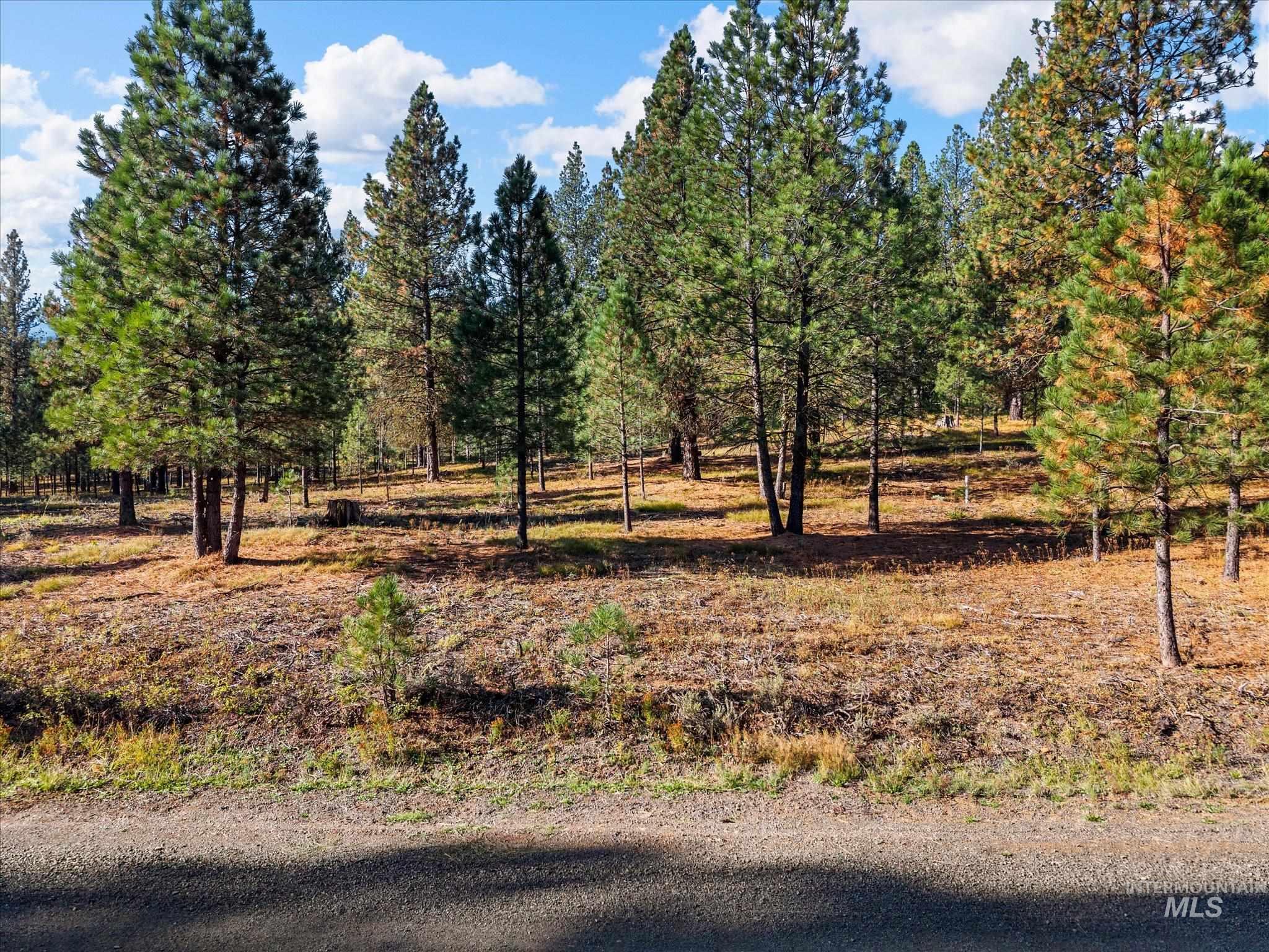 Lot 44 Old HWY 95, New Meadows, Idaho 83654, Land For Sale, Price $250,000,MLS 99001879