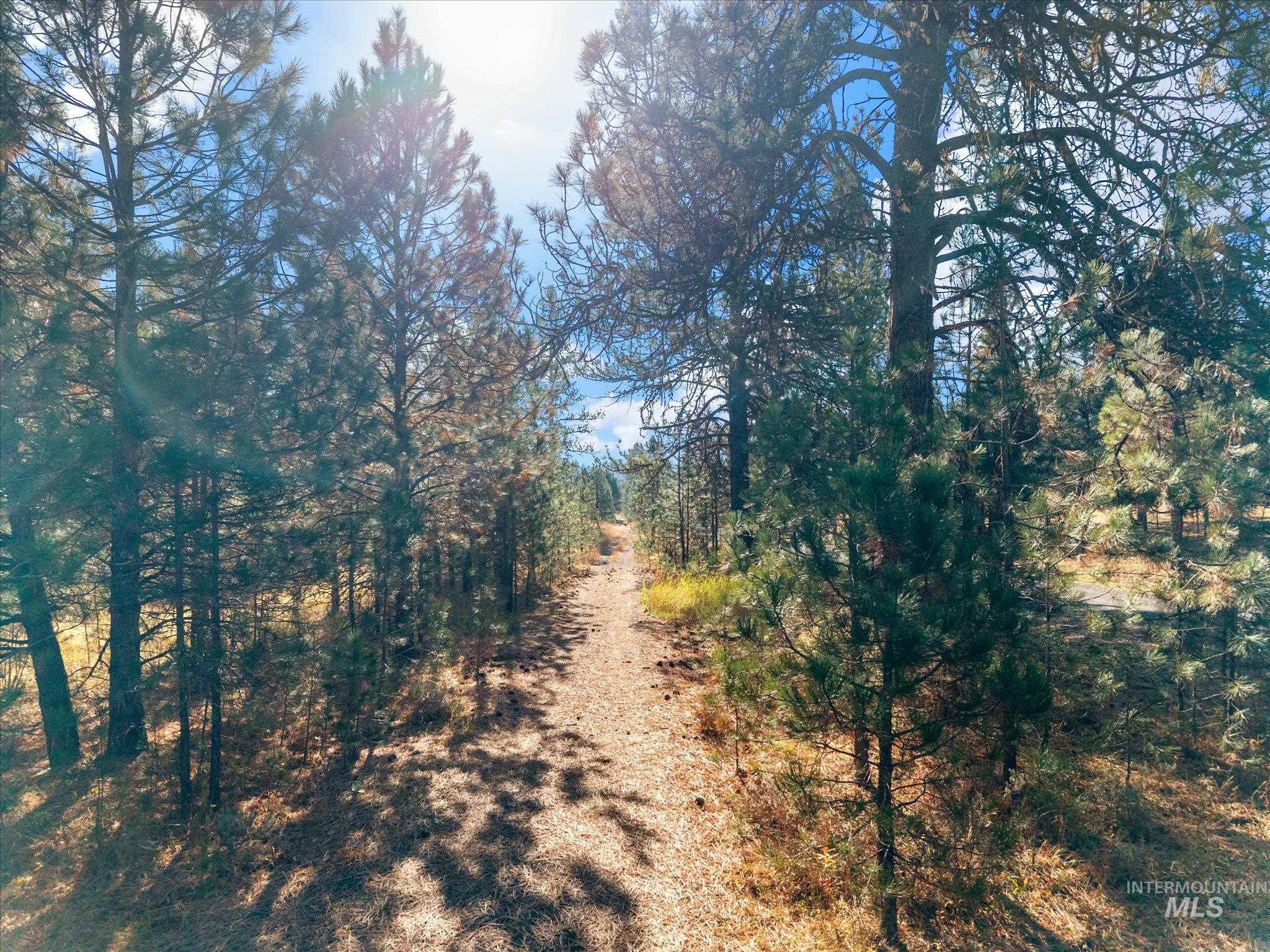 Lot 44 Old HWY 95, New Meadows, Idaho 83654, Land For Sale, Price $250,000,MLS 99001879