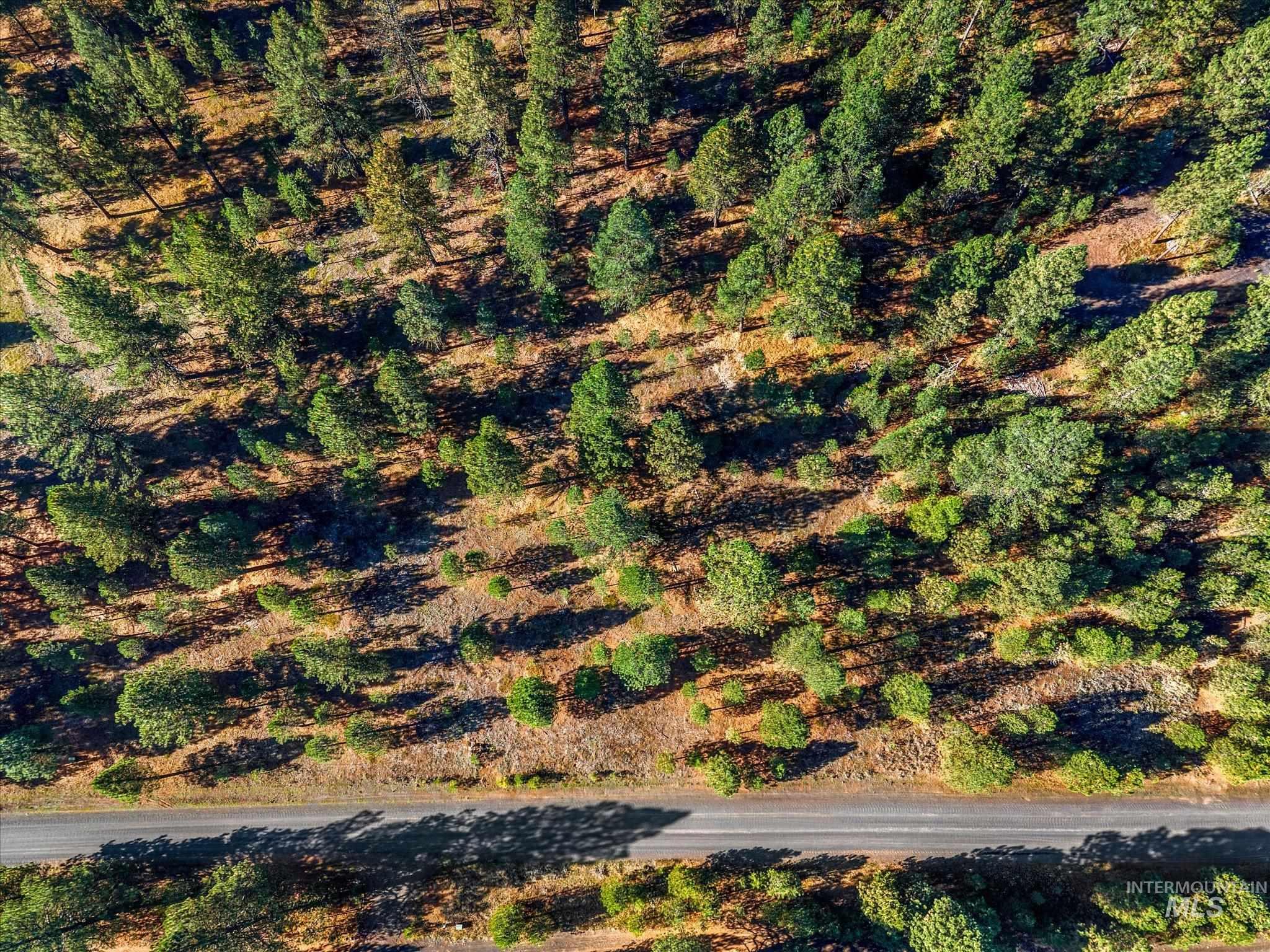 Lot 44 Old HWY 95, New Meadows, Idaho 83654, Land For Sale, Price $250,000,MLS 99001879