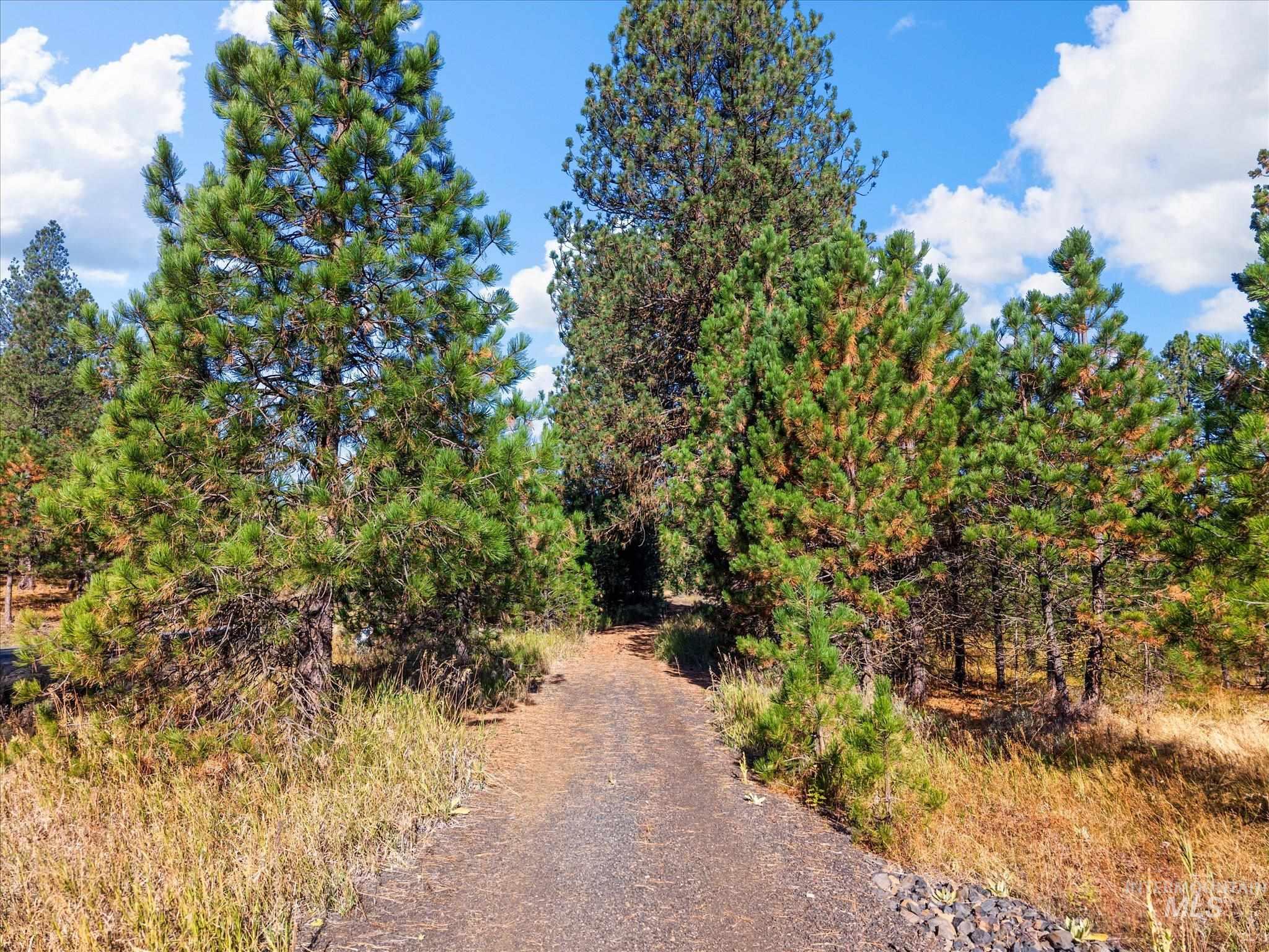 Lot 44 Old HWY 95, New Meadows, Idaho 83654, Land For Sale, Price $250,000,MLS 99001879