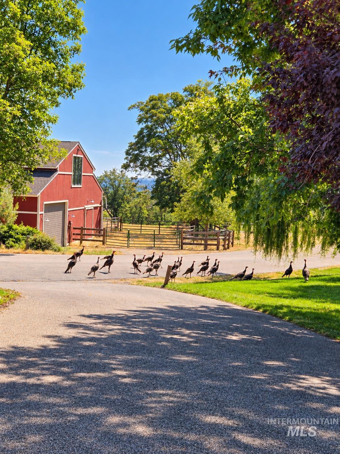 388 W Knob Hill Ct, Eagle, Idaho 83616, 5 Bedrooms, 4.5 Bathrooms, Residential For Sale, Price $2,500,000,MLS 99001885