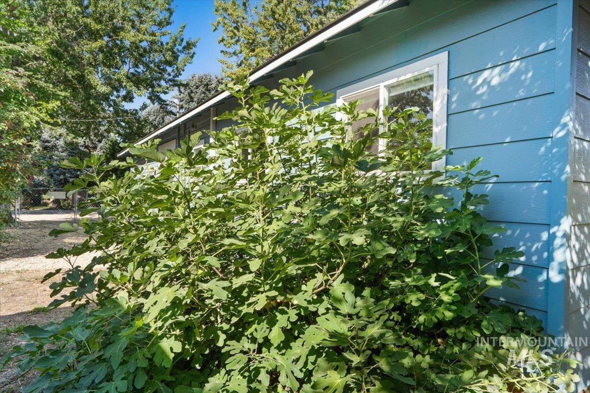 3516 N North Street, Boise, Idaho 83703, 3 Bedrooms, 2 Bathrooms, Residential For Sale, Price $484,900,MLS 99001900