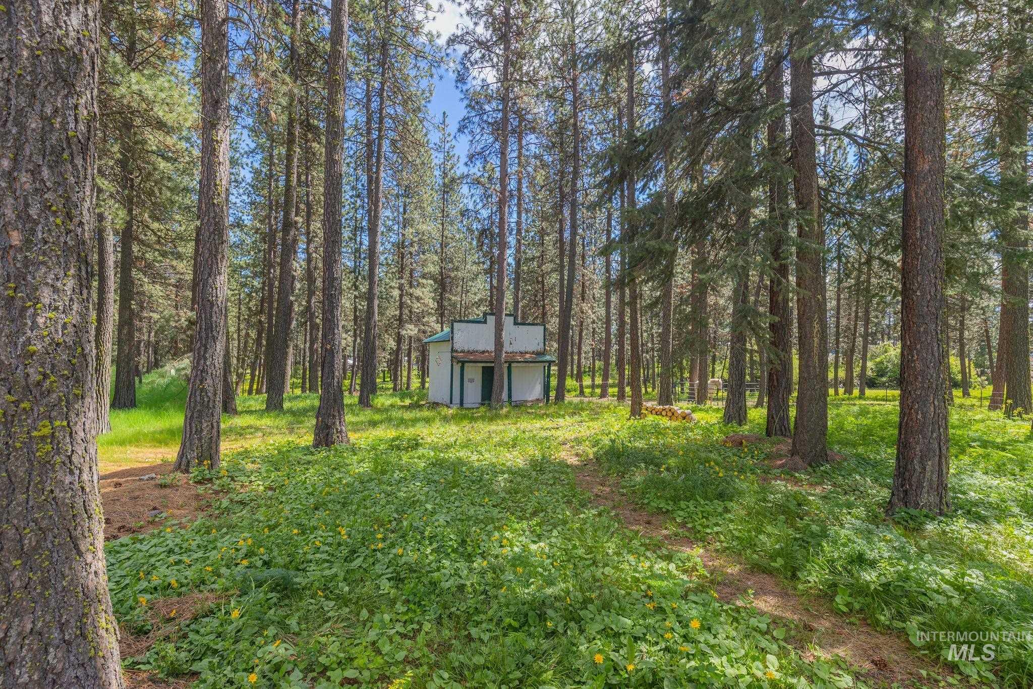 1820 Winchester Rd, Winchester, Idaho 83555, 4 Bedrooms, 2 Bathrooms, Residential For Sale, Price $550,000,MLS 99001913
