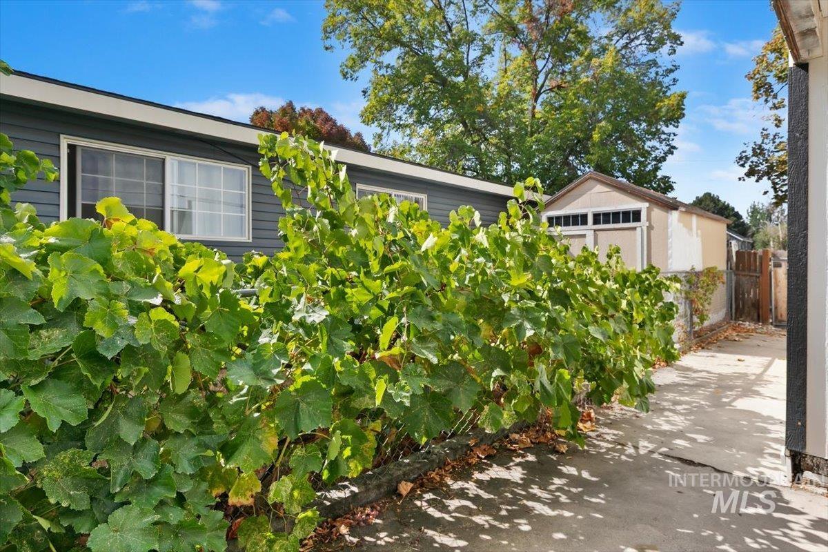 2000 N Fry St, Boise, Idaho 83704, 6 Bedrooms, 3 Bathrooms, Residential For Sale, Price $529,900,MLS 99001924