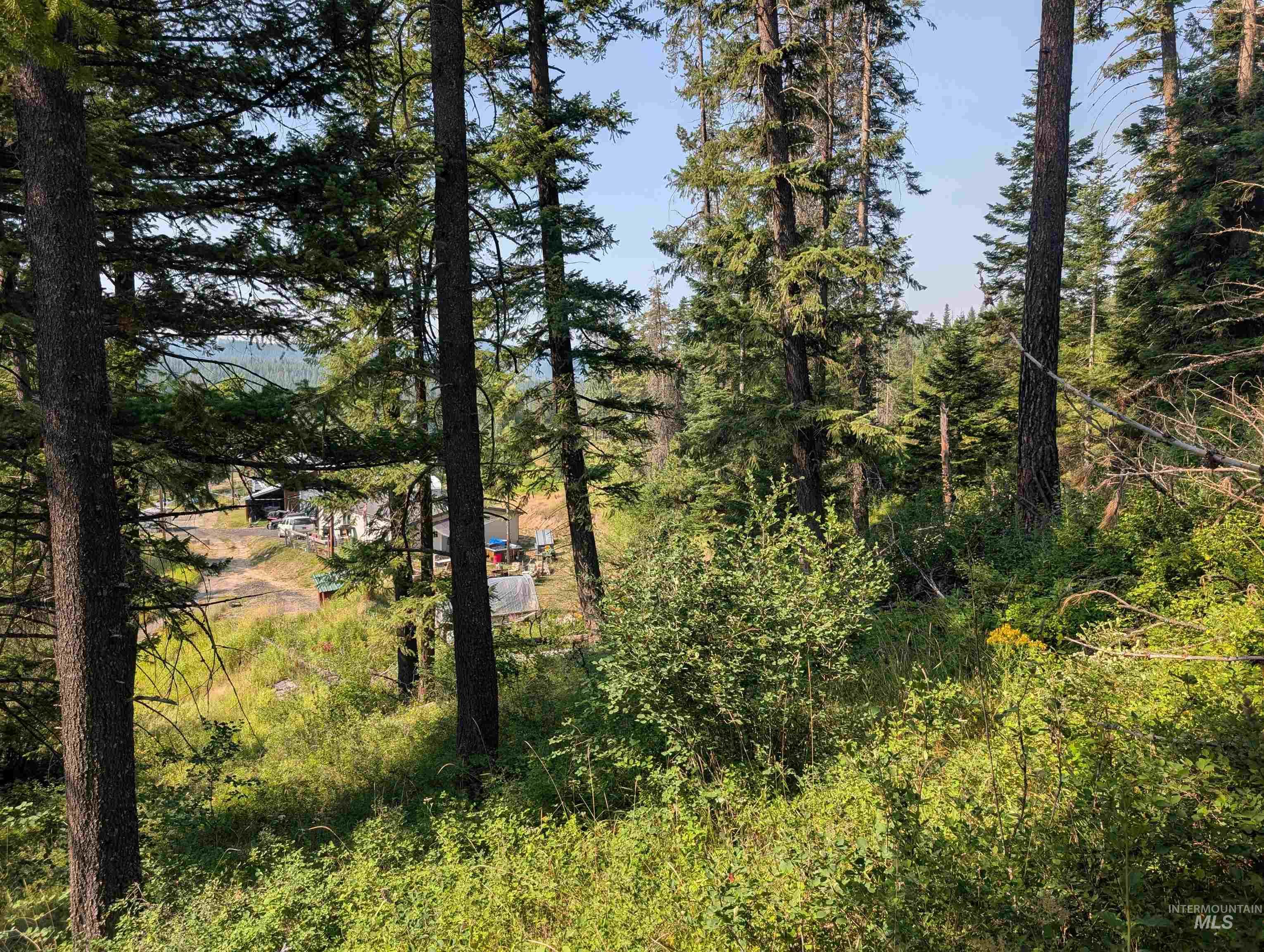 TBD Lots 7-10 High Street, Emida, Idaho 83861, Land For Sale, Price $25,000,MLS 99001963
