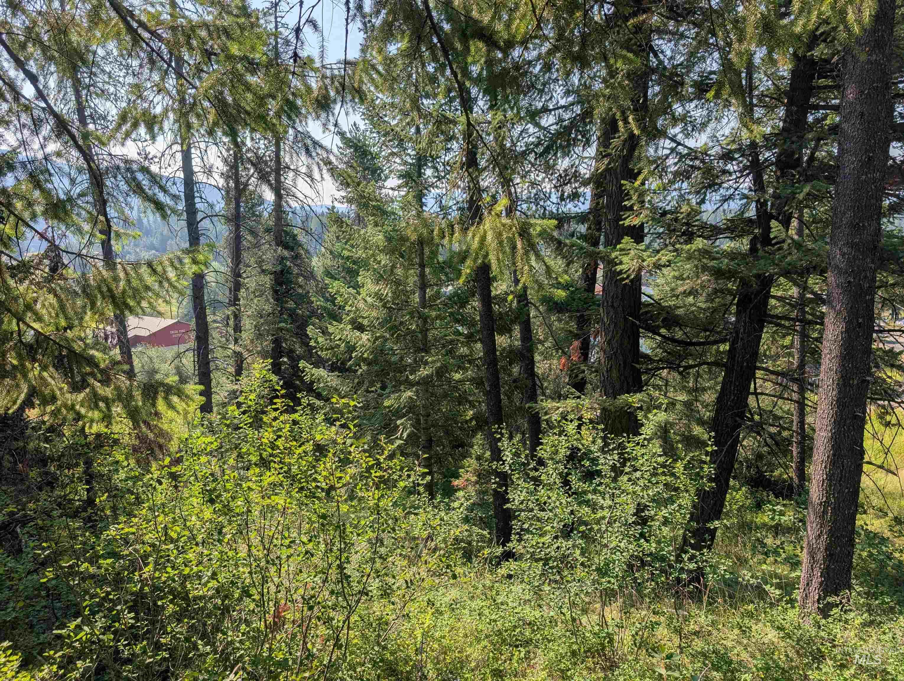 TBD Lots 7-10 High Street, Emida, Idaho 83861, Land For Sale, Price $25,000,MLS 99001963