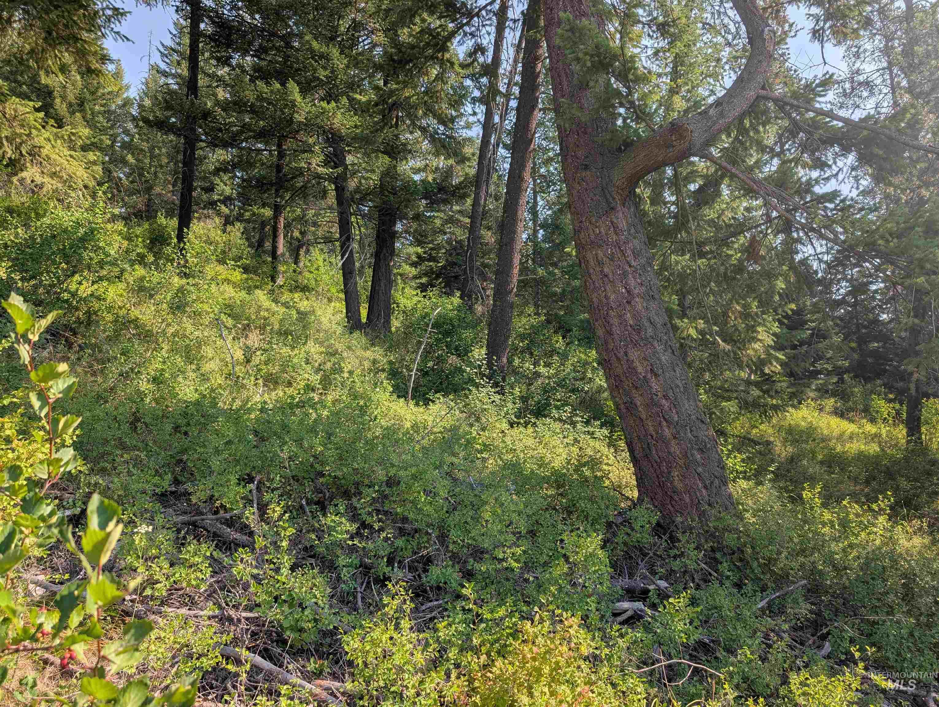 TBD Lots 3.5-6 High Street, Emida, Idaho 83861, Land For Sale, Price $25,000,MLS 99001965