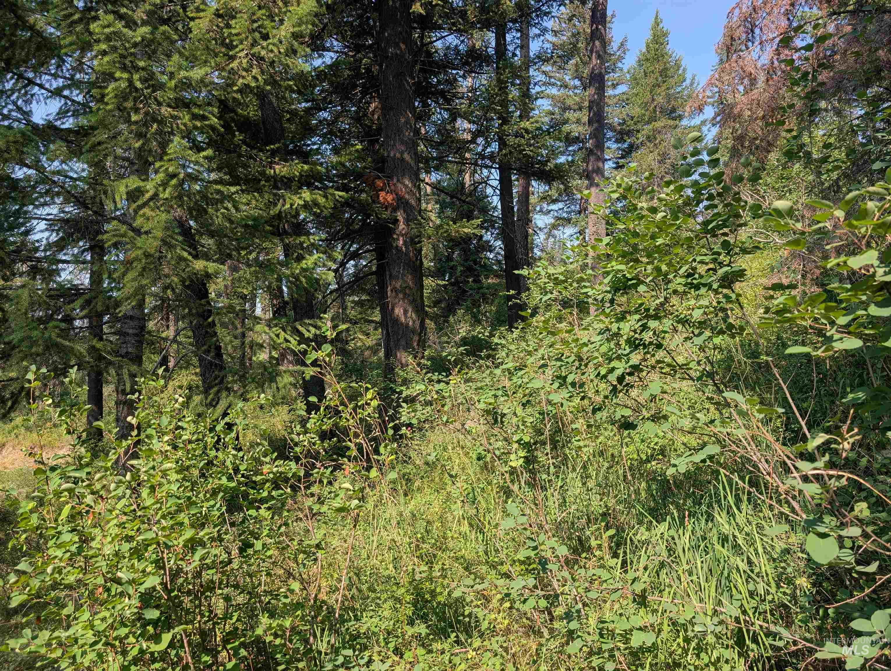 TBD Lots 3.5-6 High Street, Emida, Idaho 83861, Land For Sale, Price $25,000,MLS 99001965