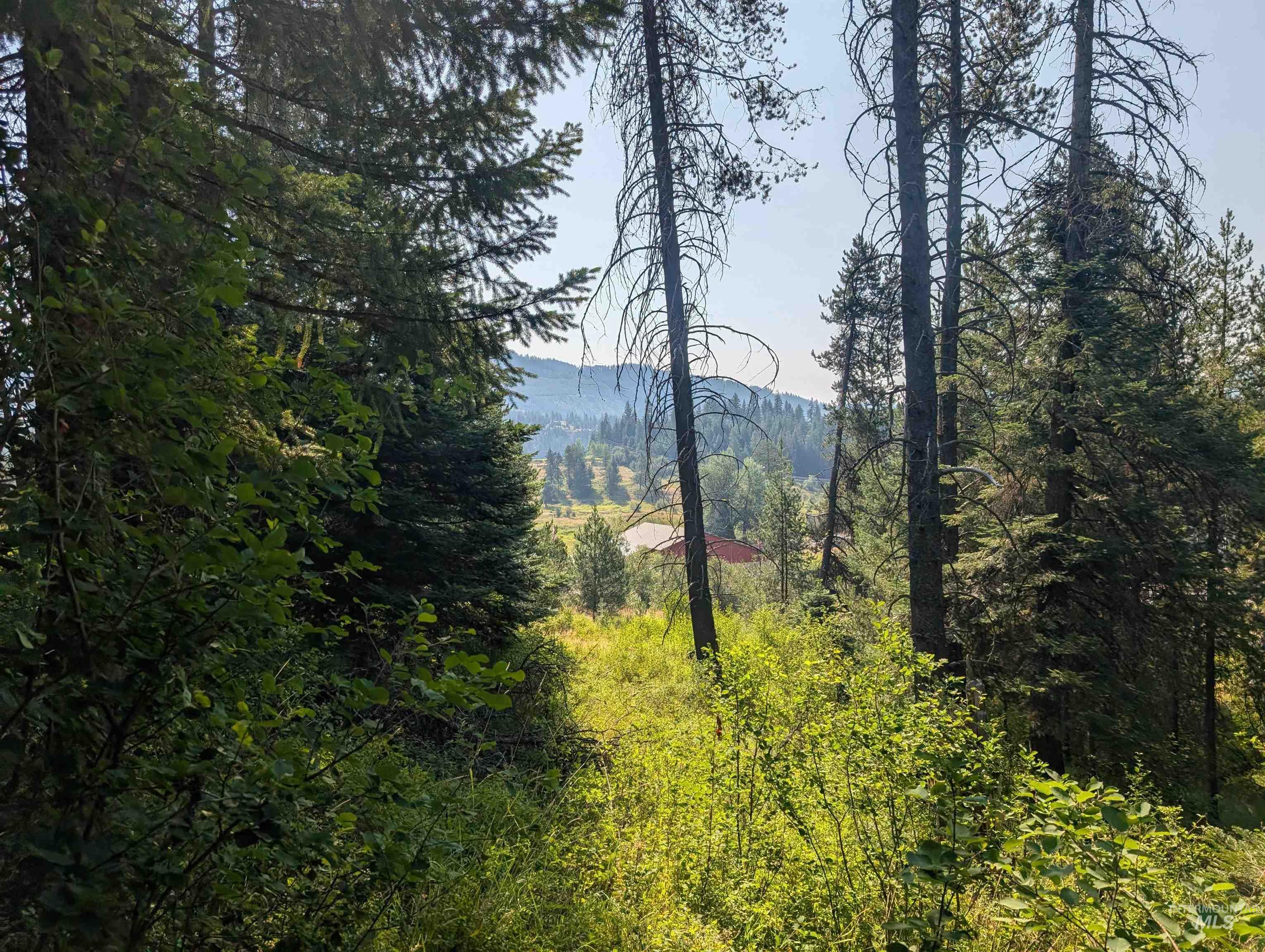 TBD Lots 3.5-6 High Street, Emida, Idaho 83861, Land For Sale, Price $25,000,MLS 99001965
