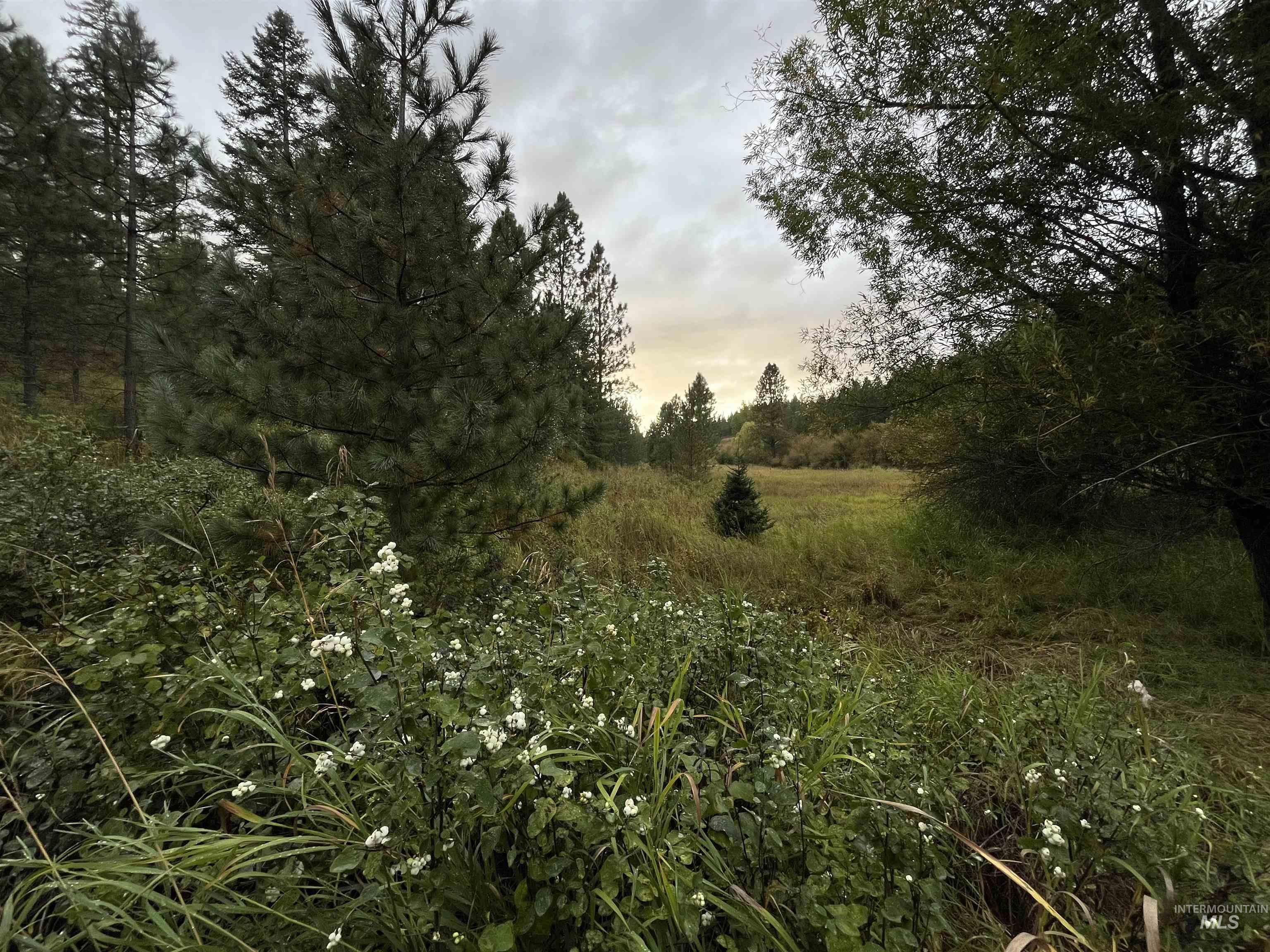 TBD Wallen Road, Moscow, Idaho 83843, Land For Sale, Price $350,000,MLS 99002018