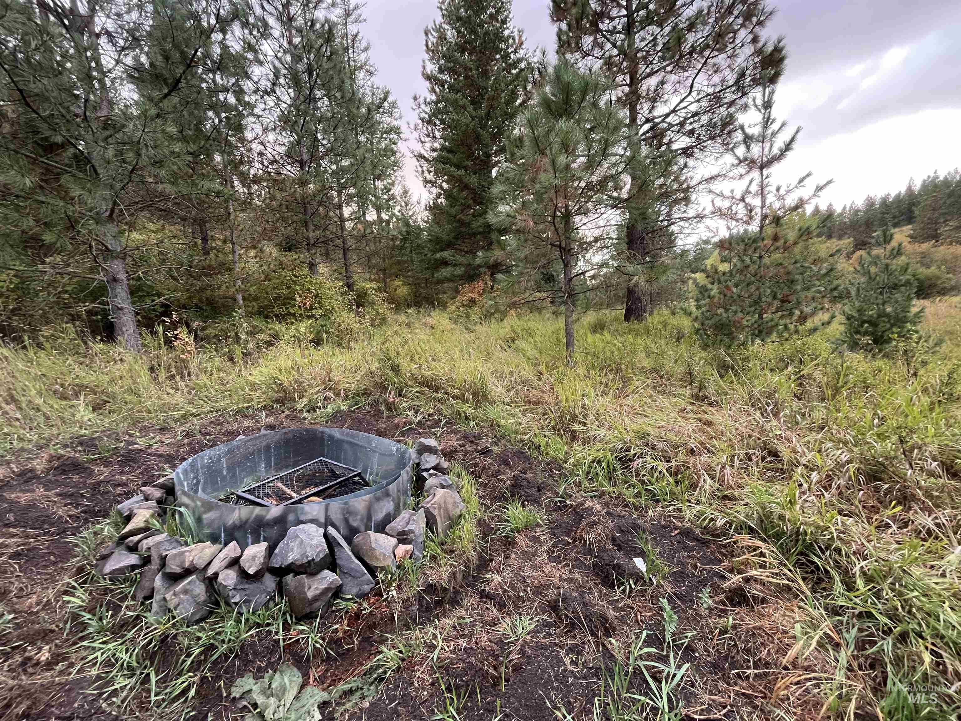 TBD Wallen Road, Moscow, Idaho 83843, Land For Sale, Price $350,000,MLS 99002018