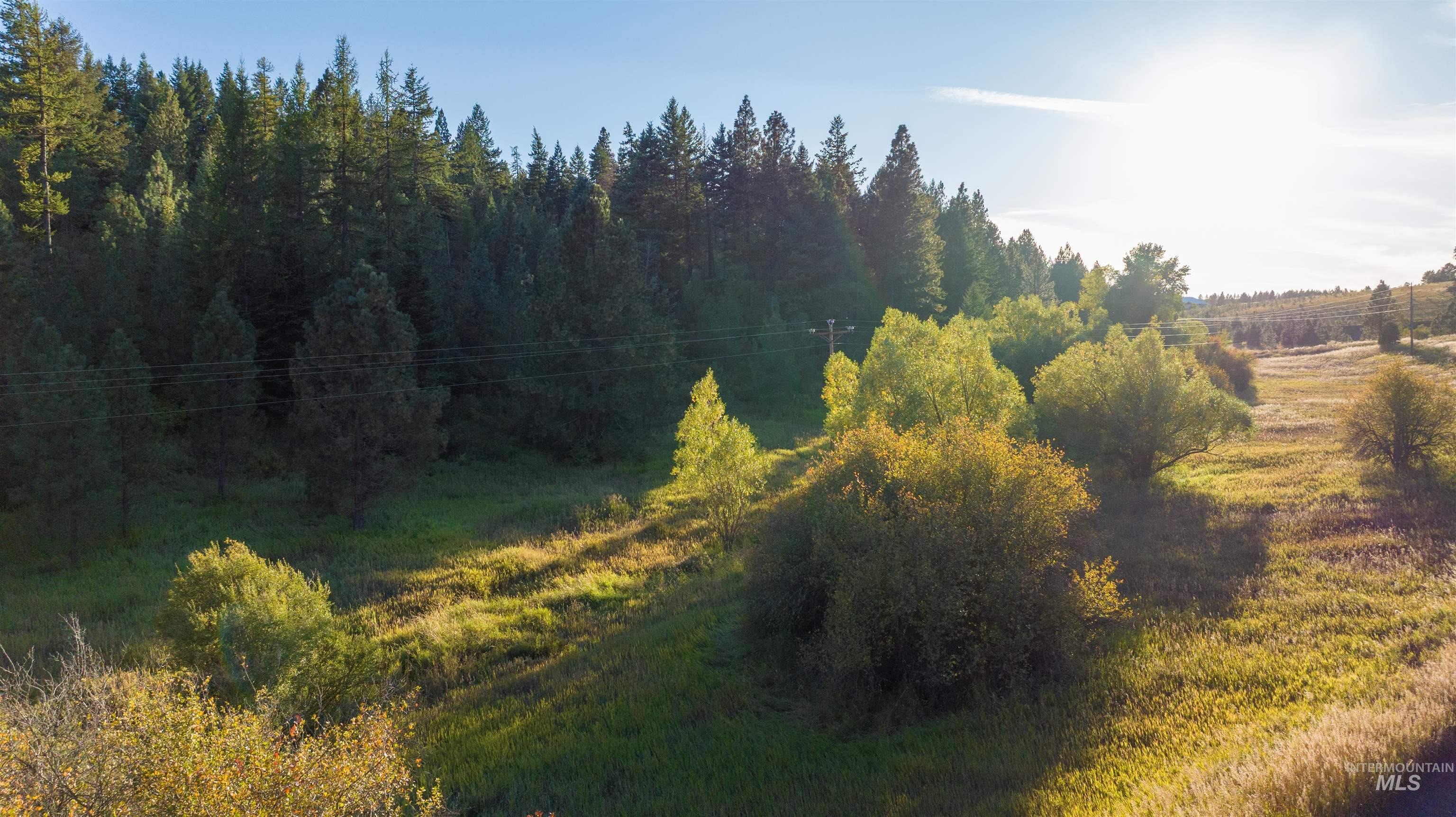 TBD Wallen Road, Moscow, Idaho 83843, Land For Sale, Price $350,000,MLS 99002018