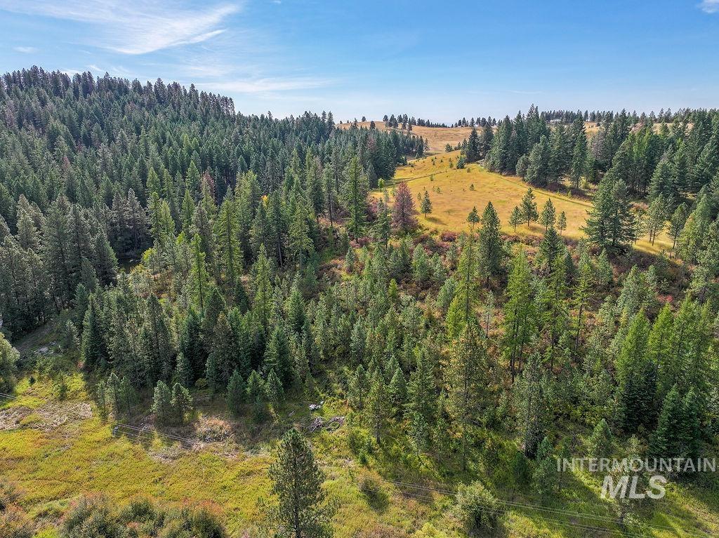 TBD Wallen Road, Moscow, Idaho 83843, Land For Sale, Price $350,000,MLS 99002018