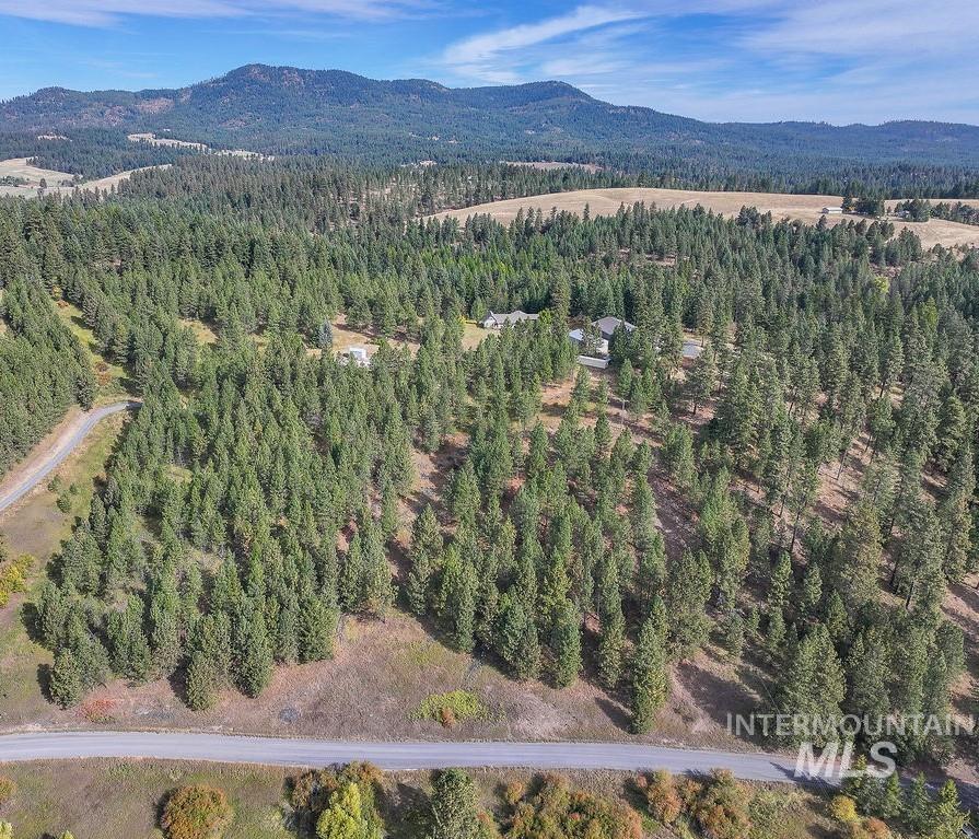 TBD Wallen Road, Moscow, Idaho 83843, Land For Sale, Price $350,000,MLS 99002018