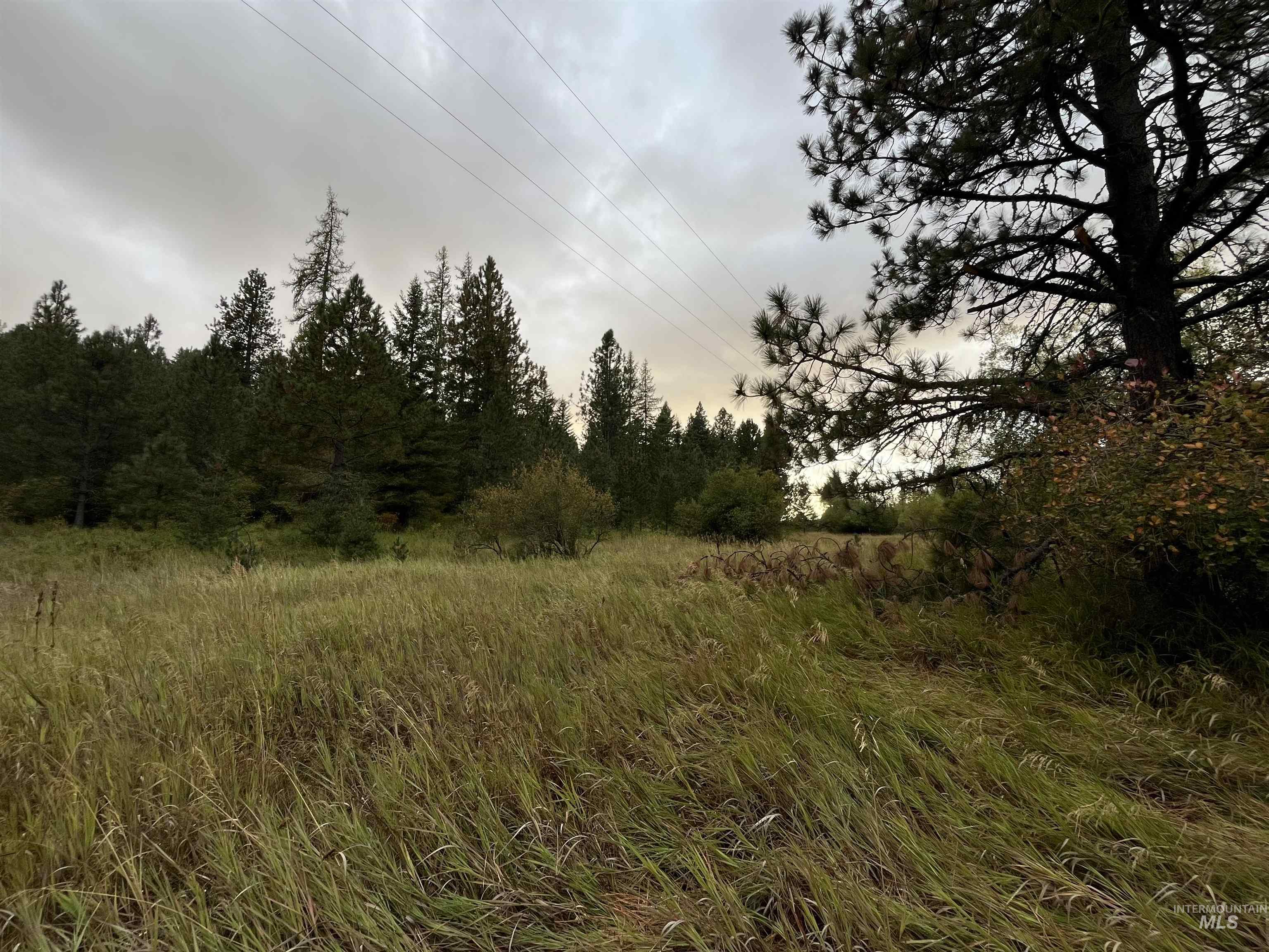TBD Wallen Road, Moscow, Idaho 83843, Land For Sale, Price $350,000,MLS 99002018